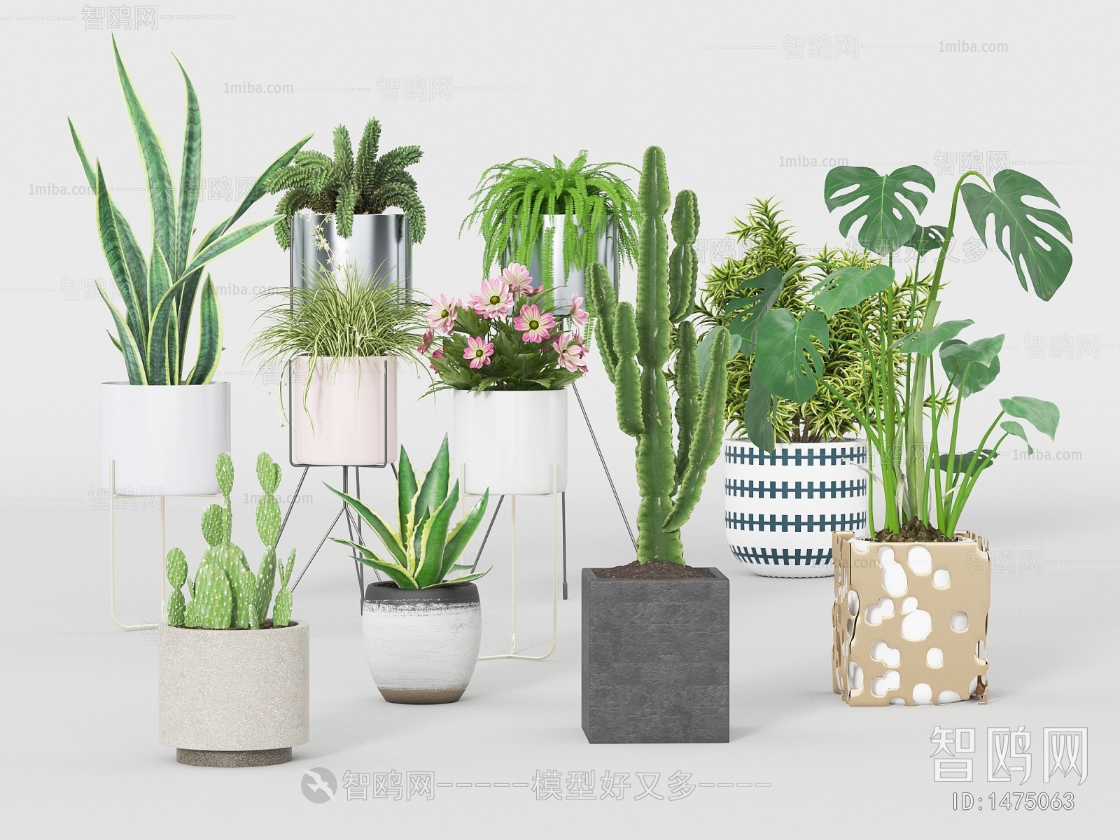 Modern Potted Green Plant