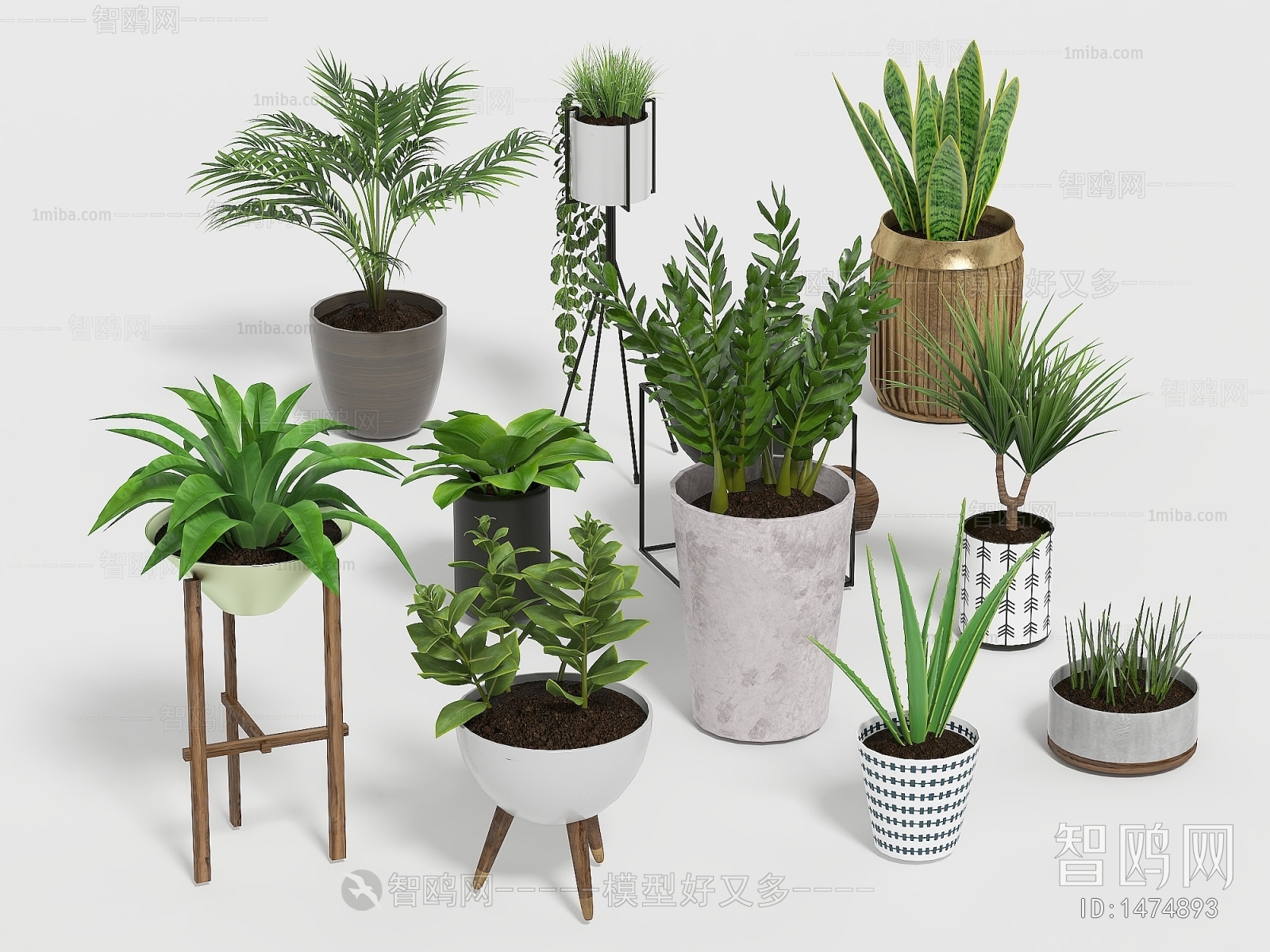 Modern Potted Green Plant