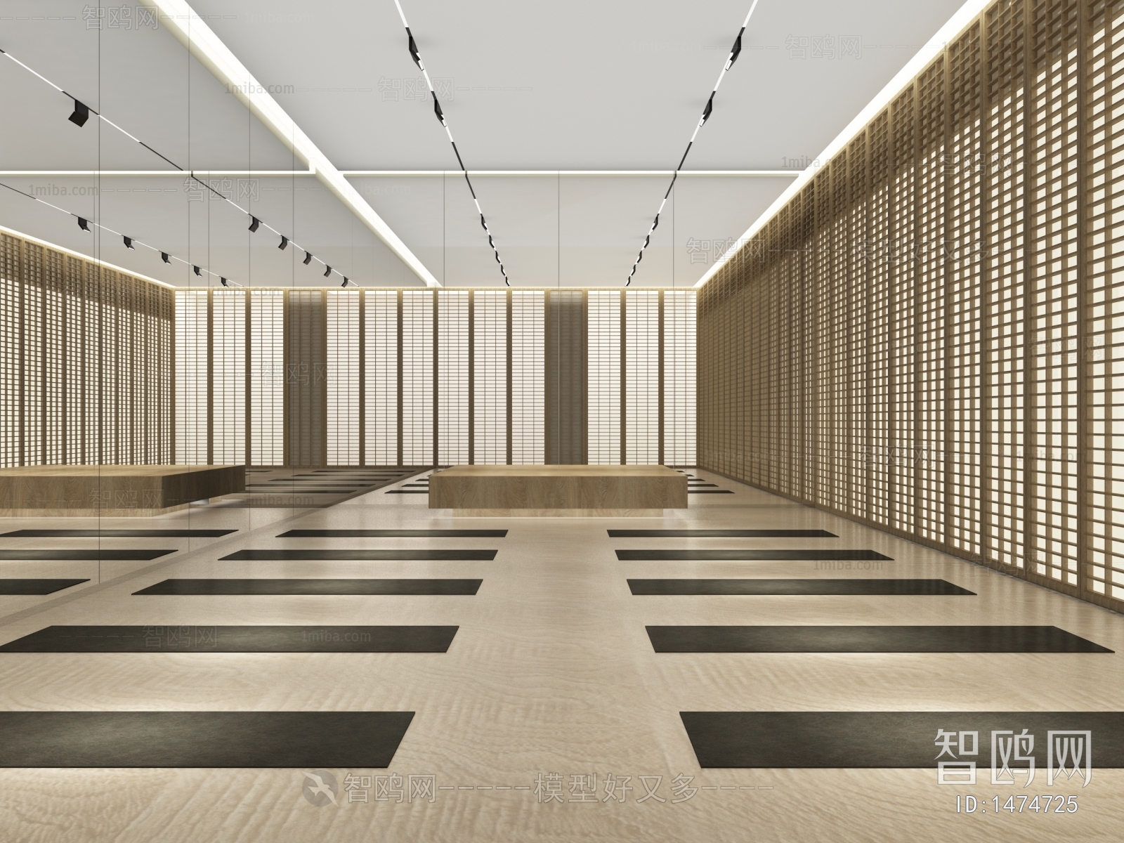 Modern Yoga Room