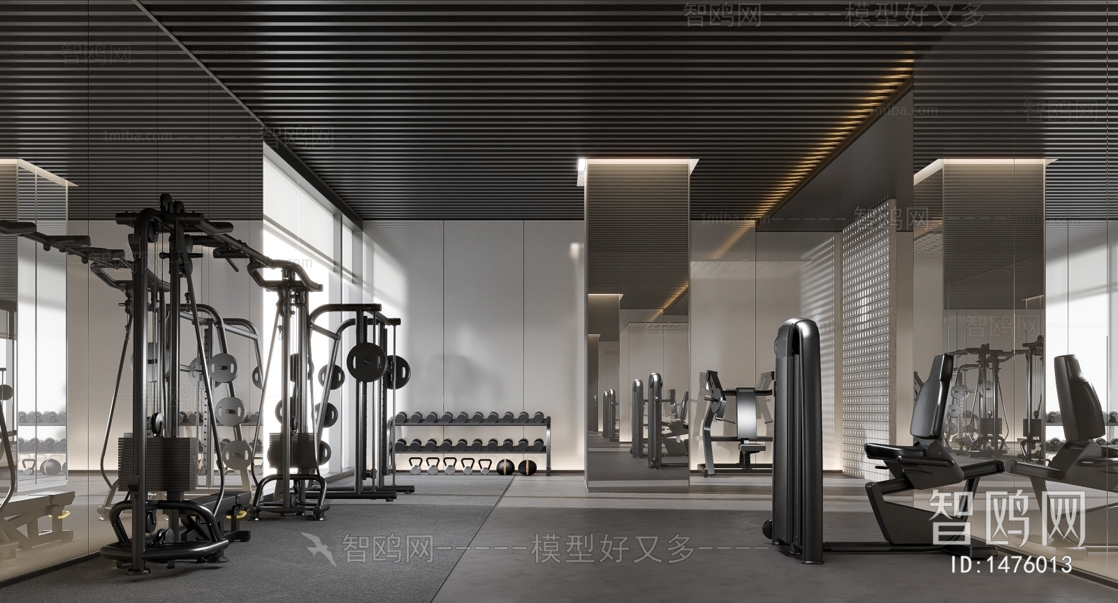 Modern Gym