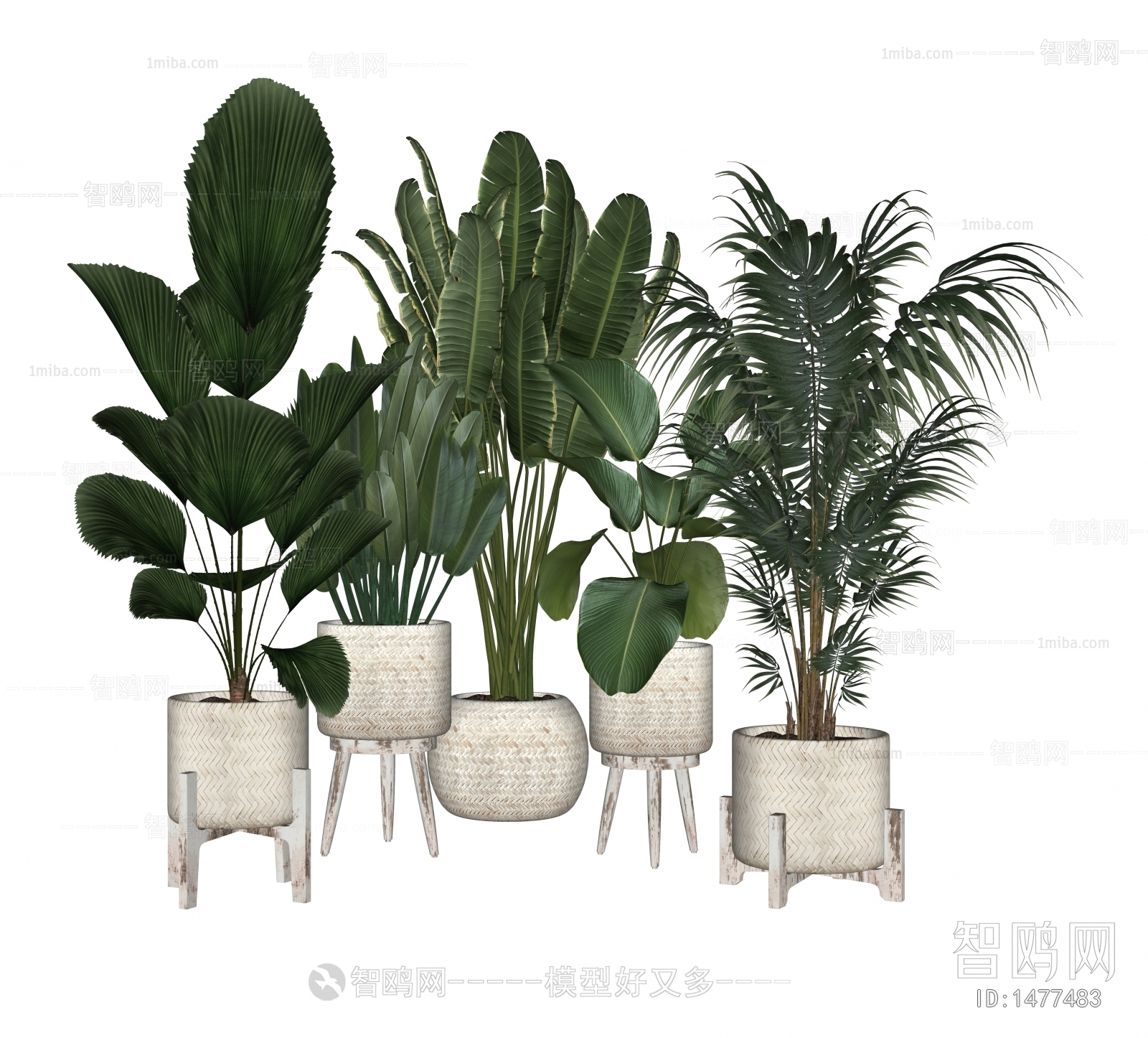 Modern Potted Green Plant