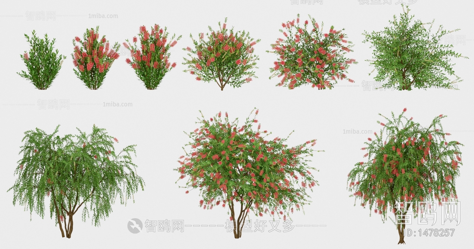 Modern Tree/shrub/grass