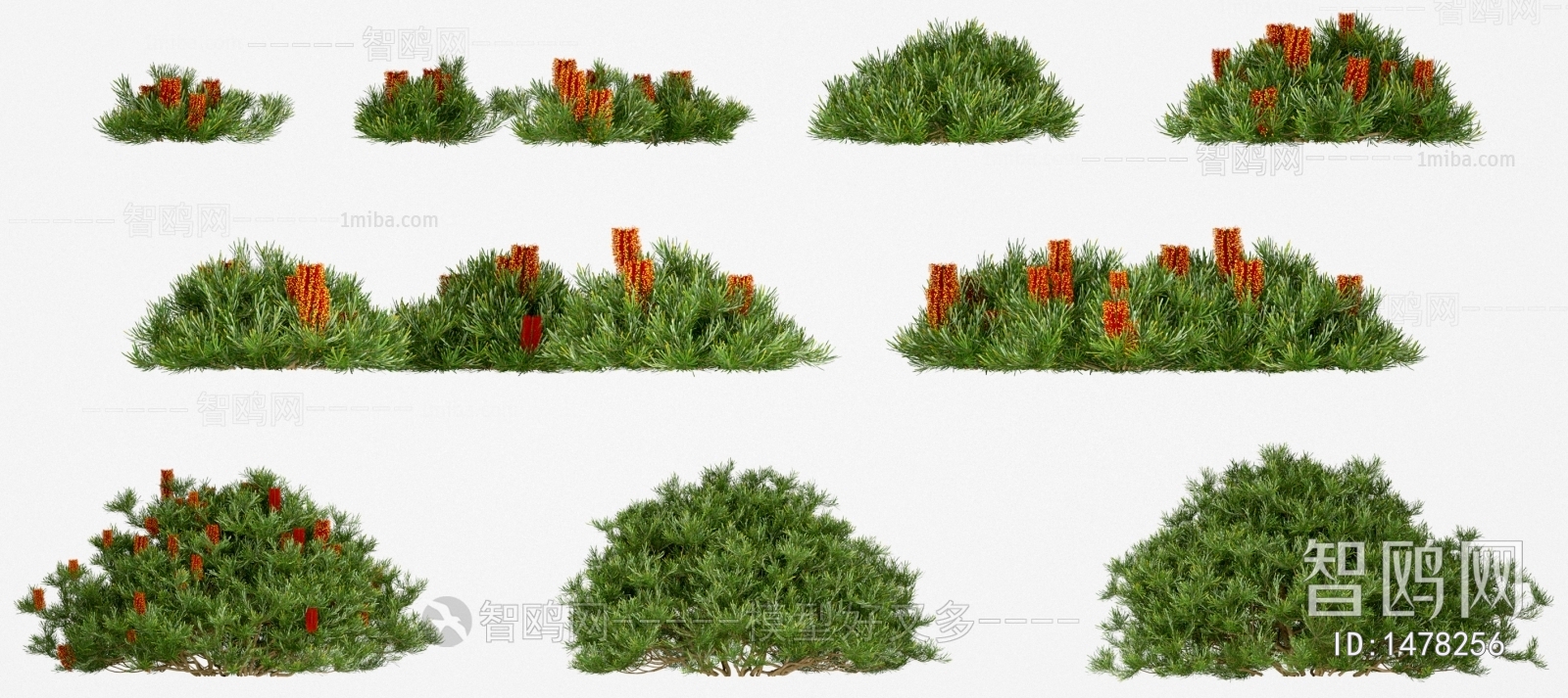 Modern Shrubbery