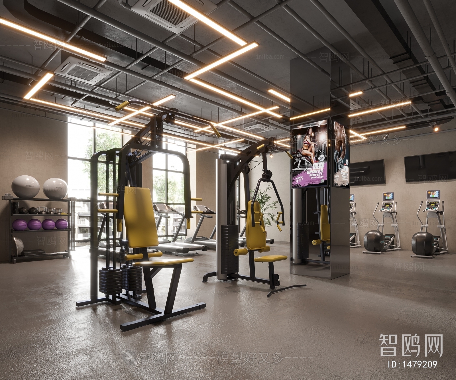 Modern Gym