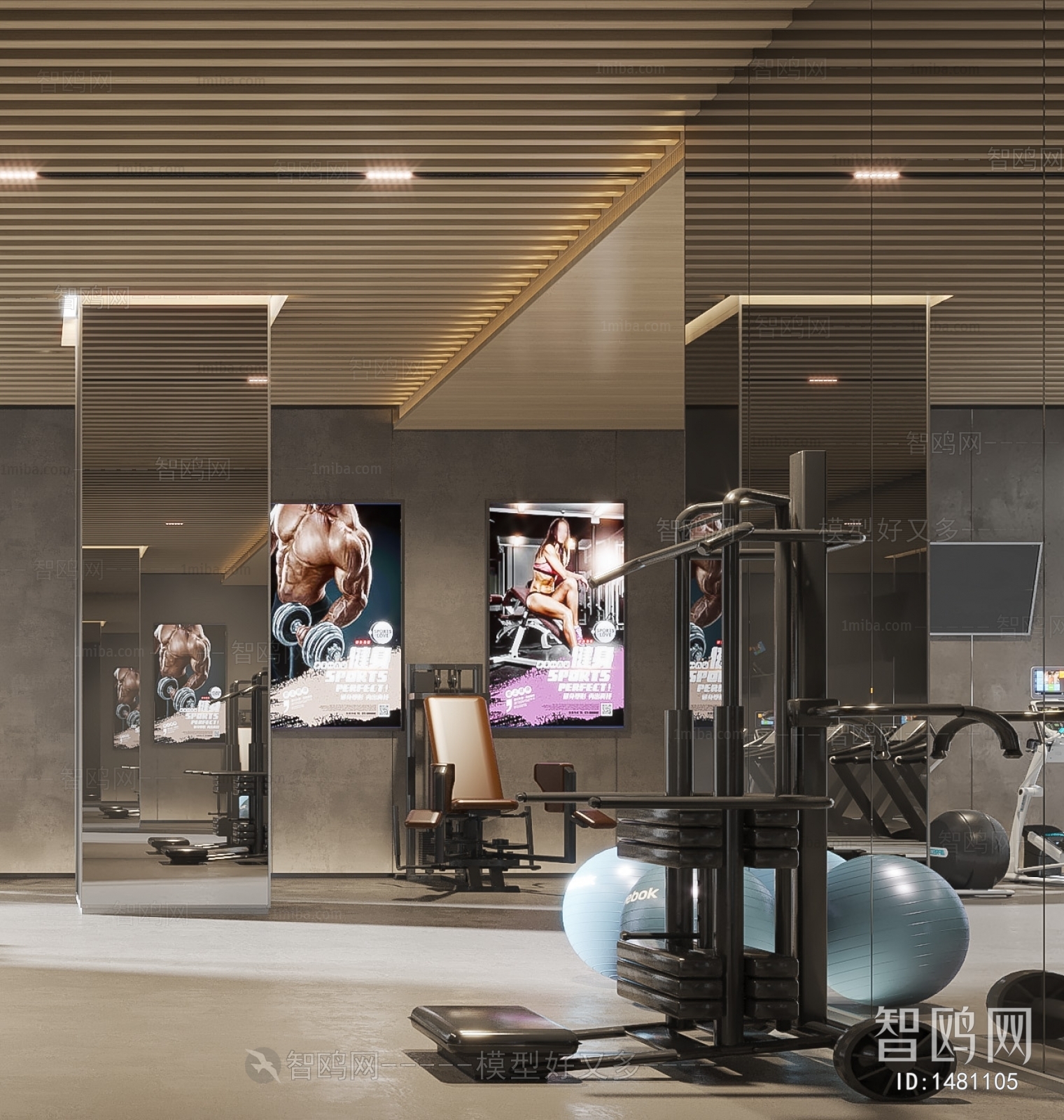 Modern Gym