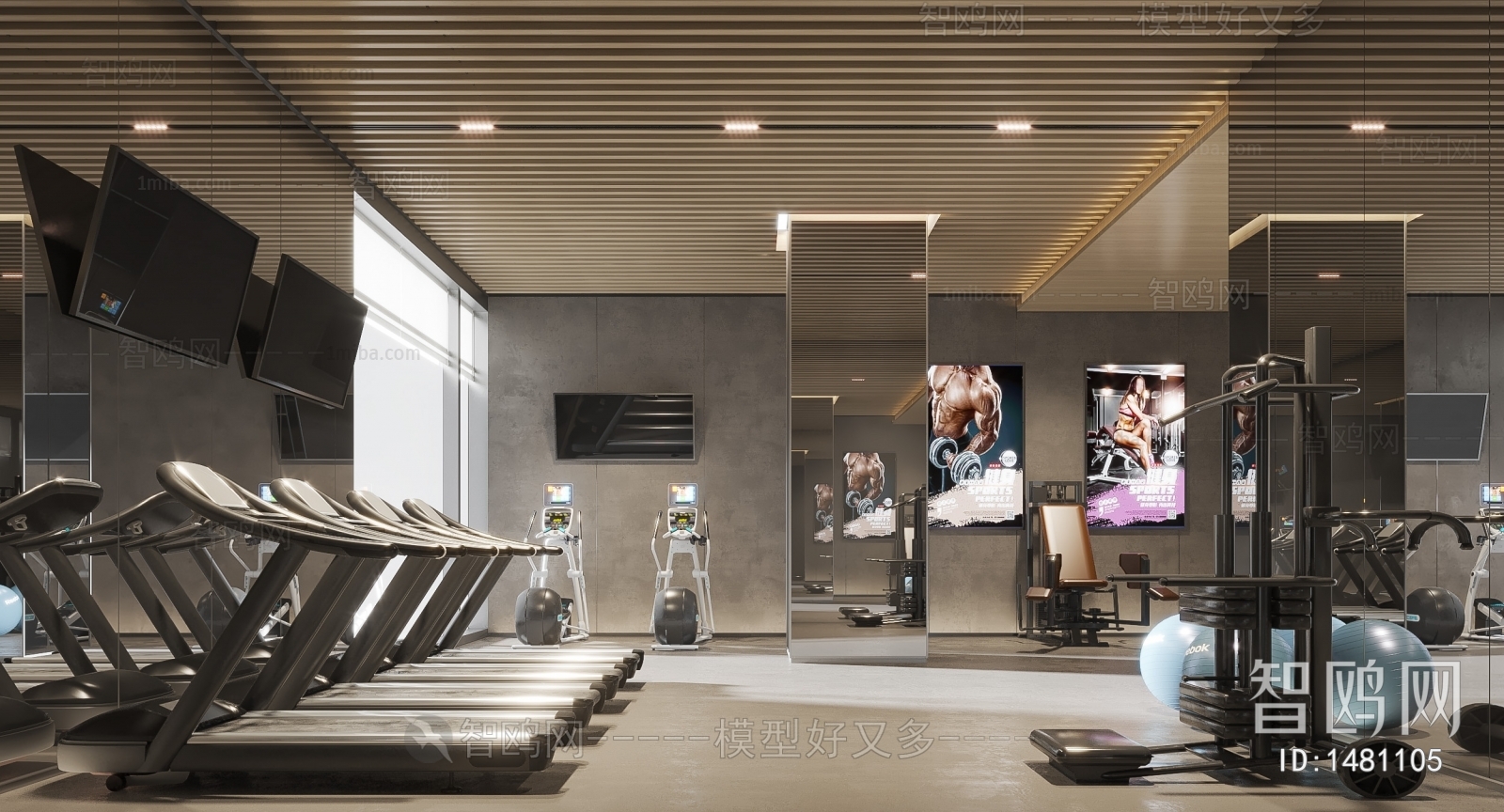 Modern Gym