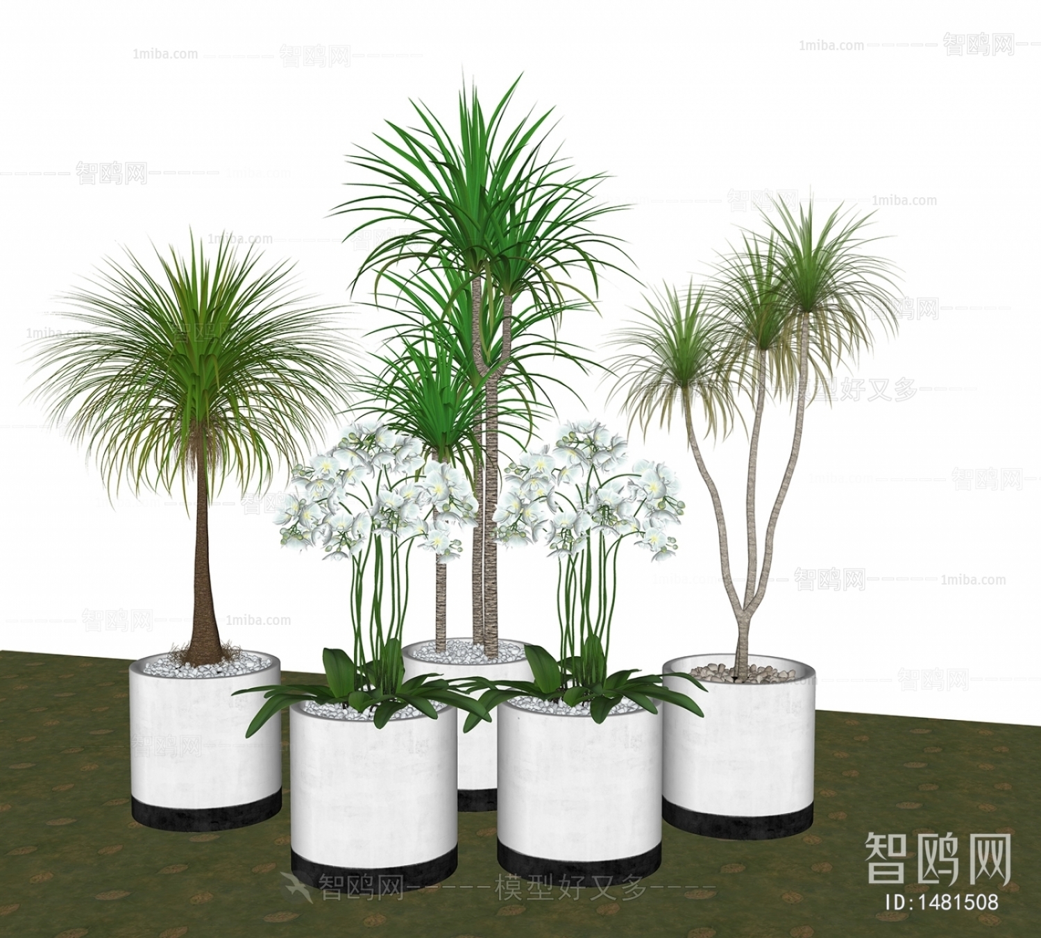 Modern Potted Green Plant