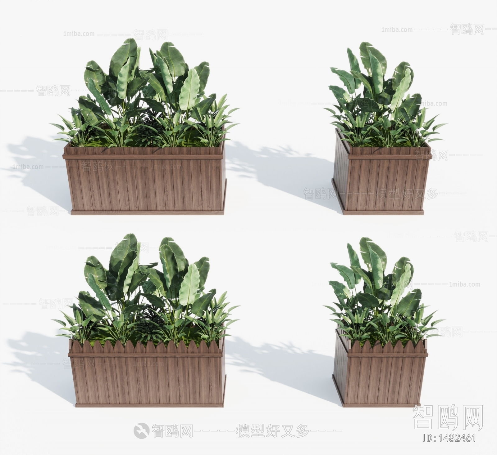 Modern Potted Green Plant