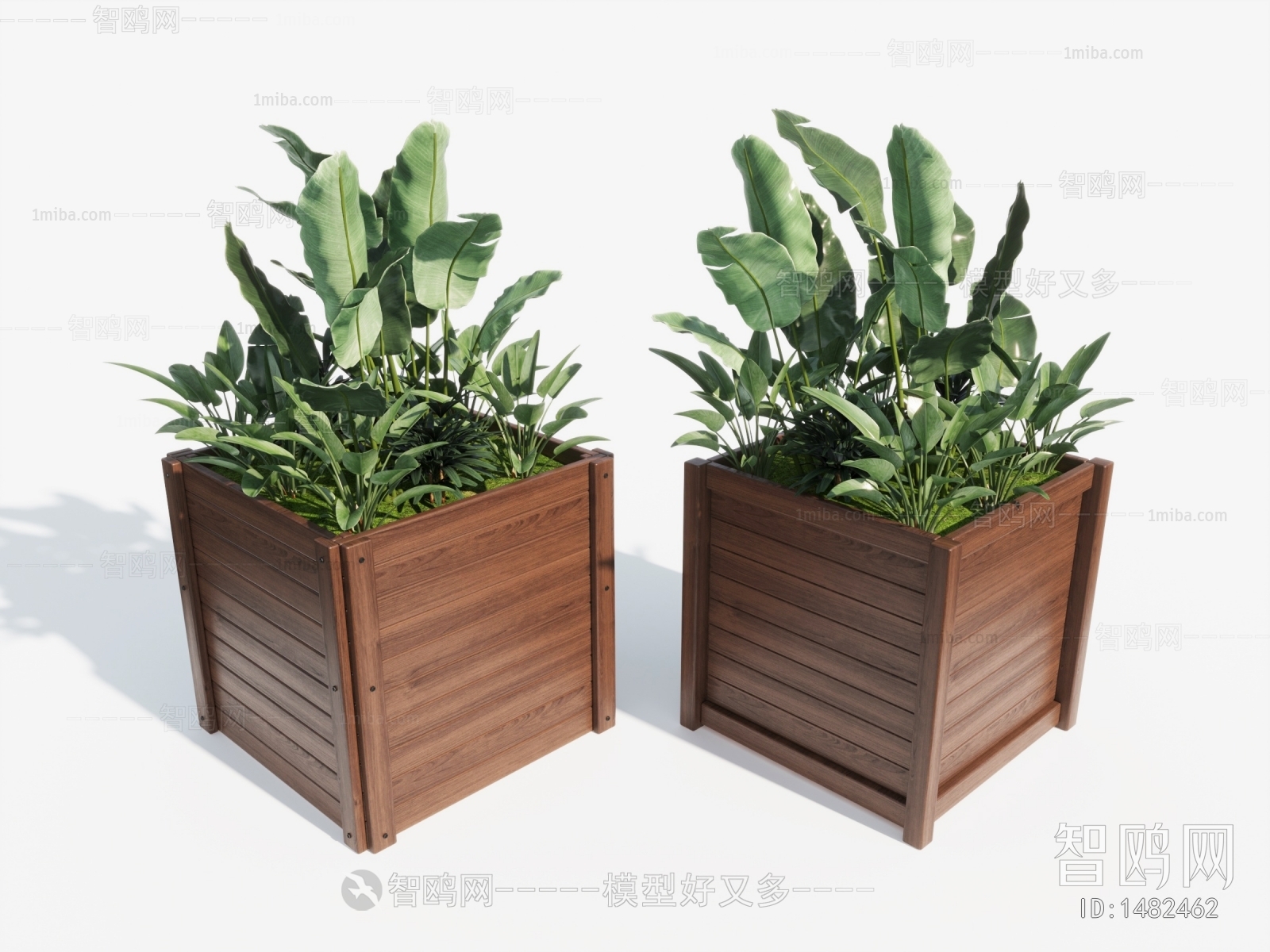 Modern Potted Green Plant