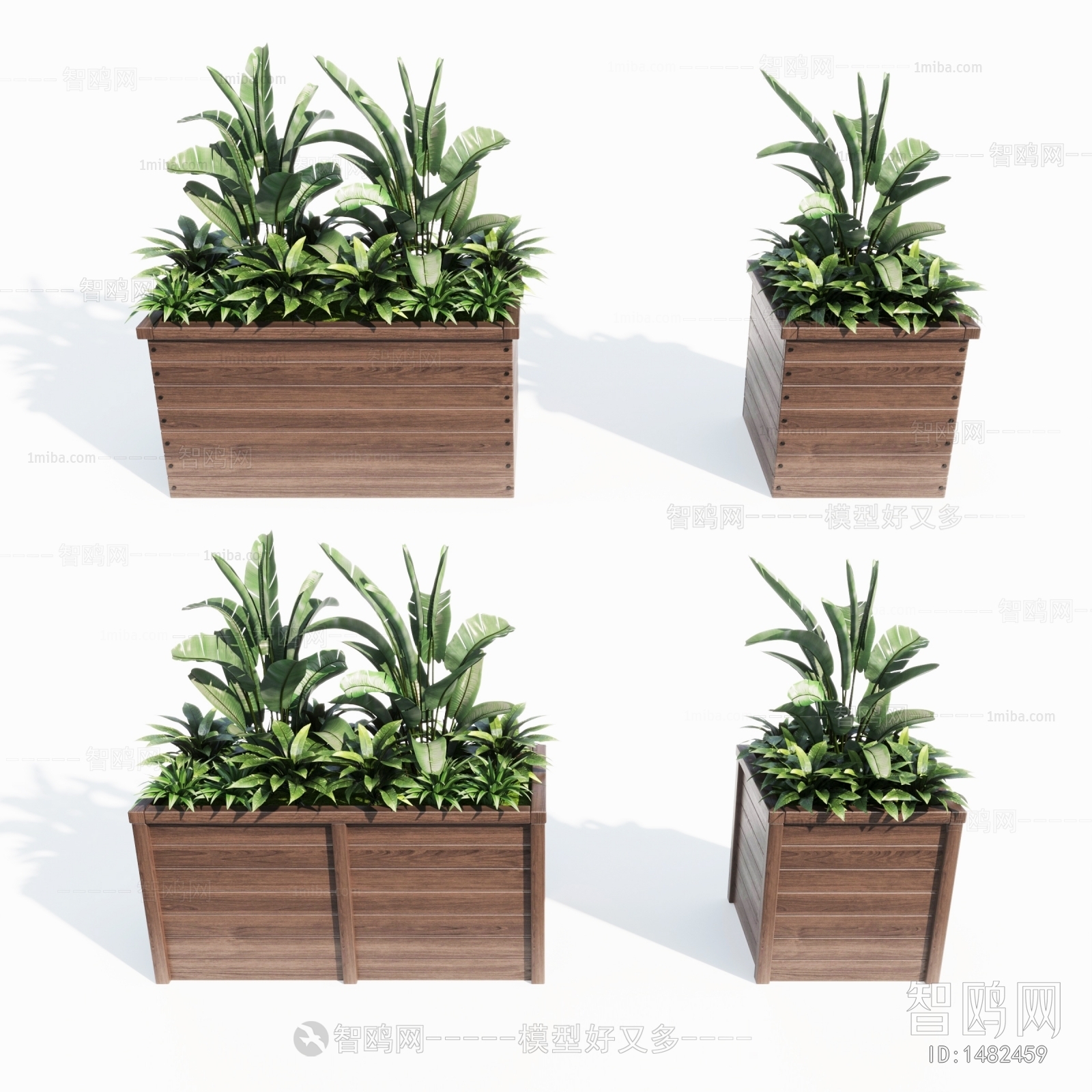 Modern Potted Green Plant