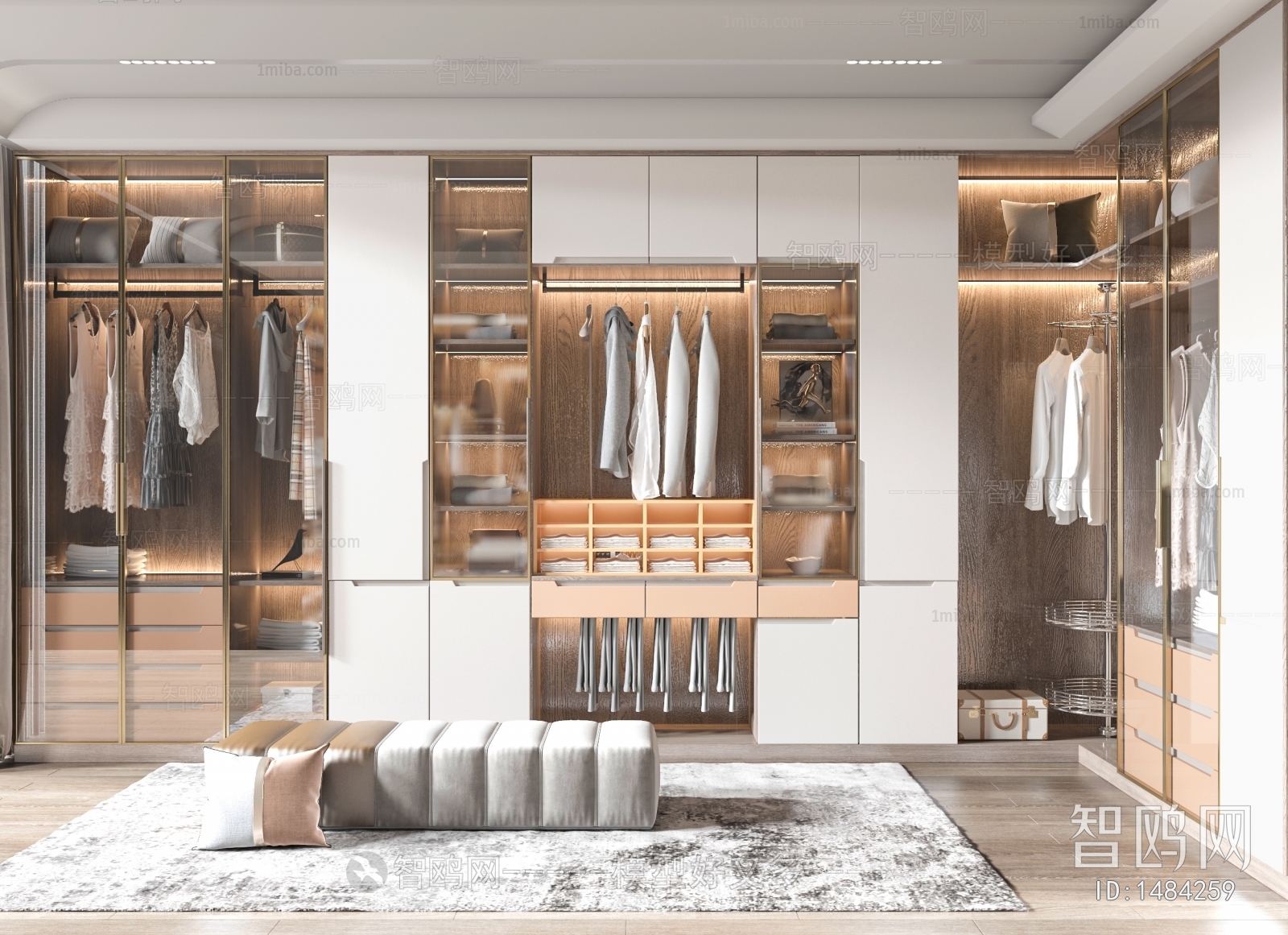 Modern Clothes Storage Area