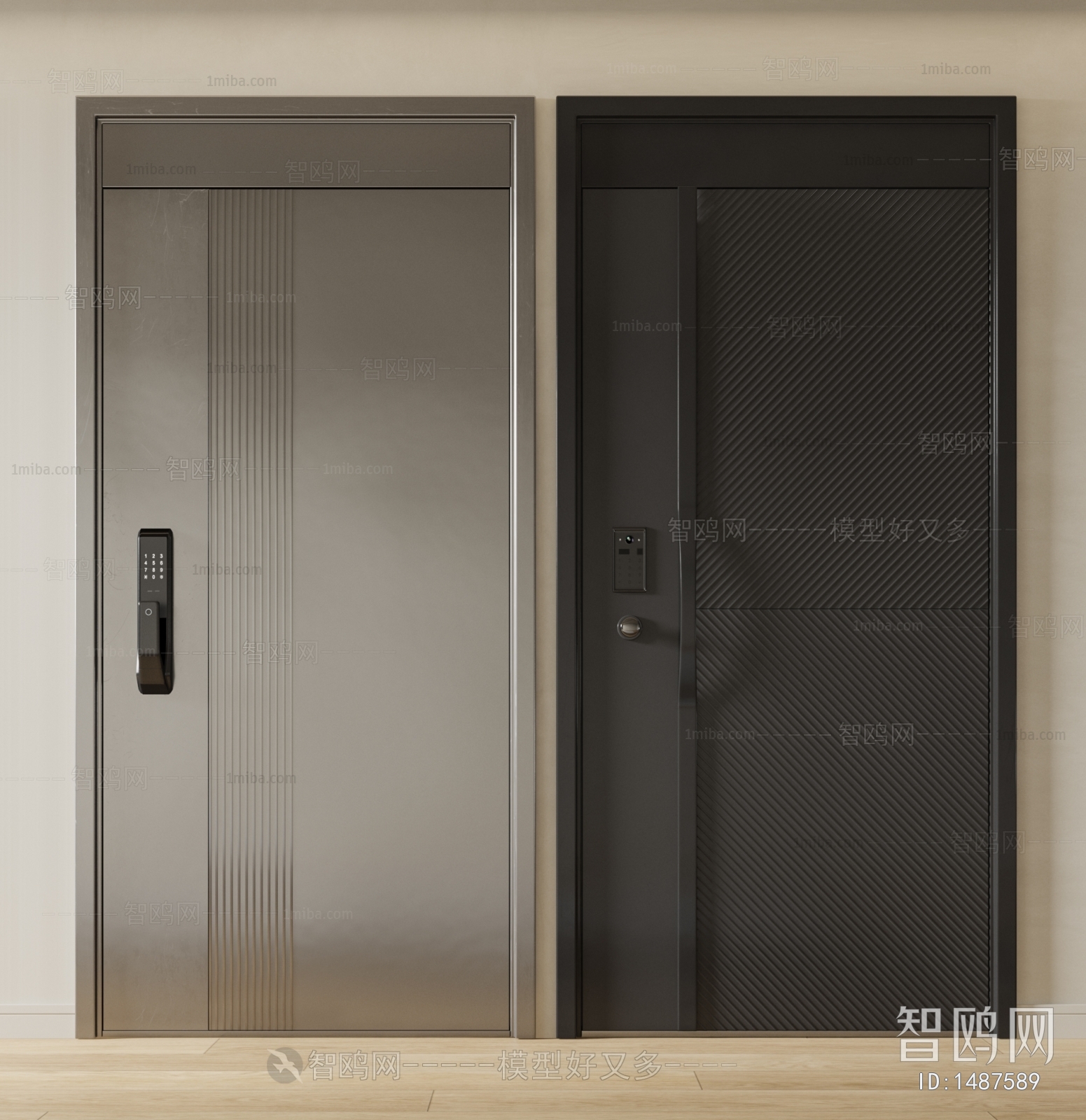 Modern Entrance Door