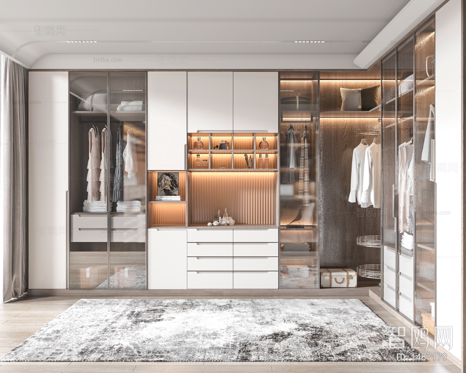 Modern Clothes Storage Area