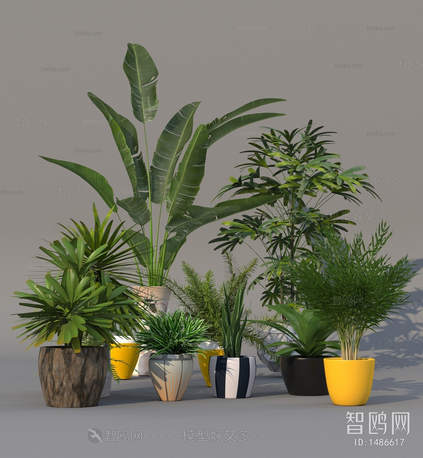 Modern Potted Green Plant