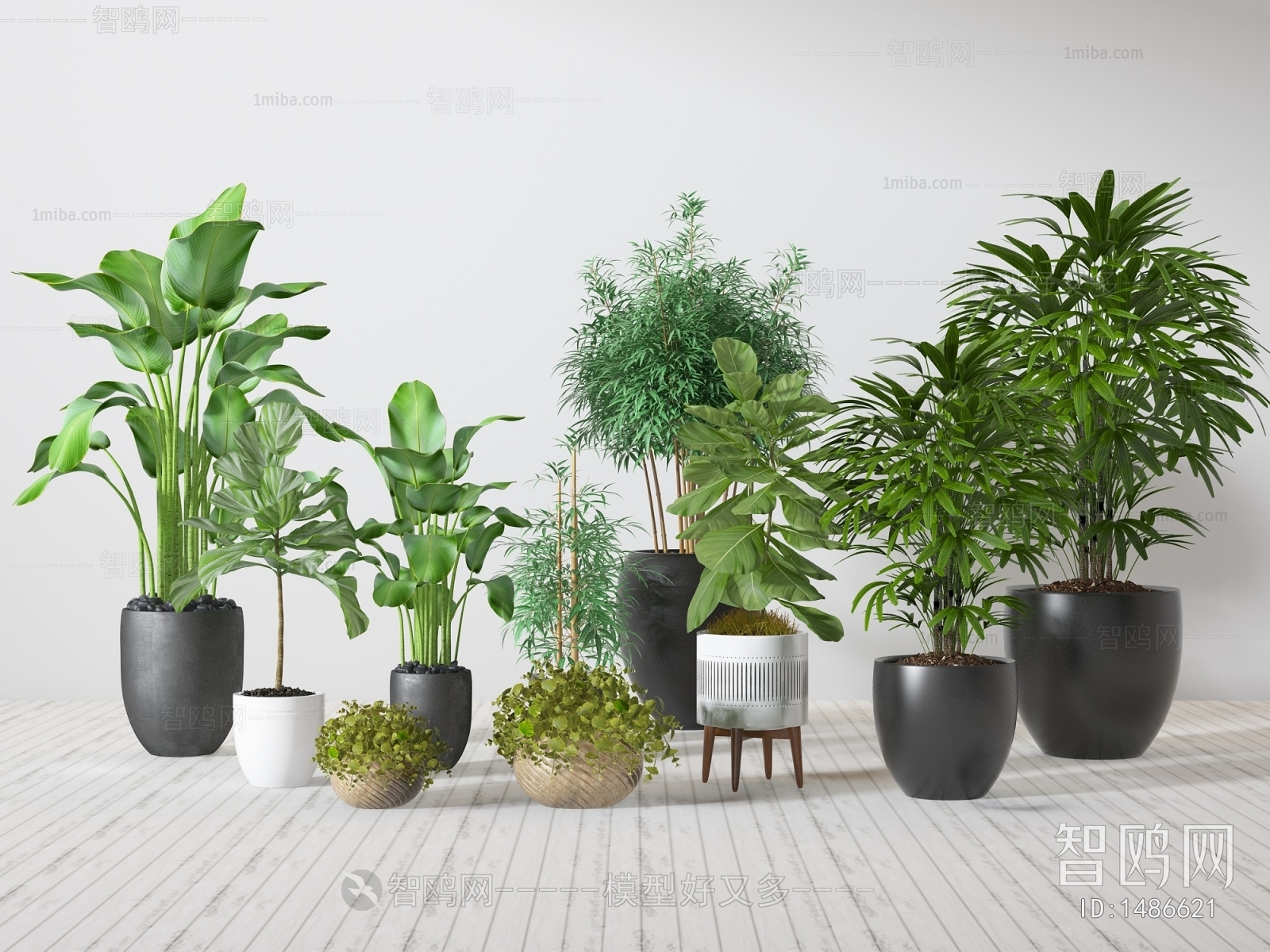 Modern Potted Green Plant