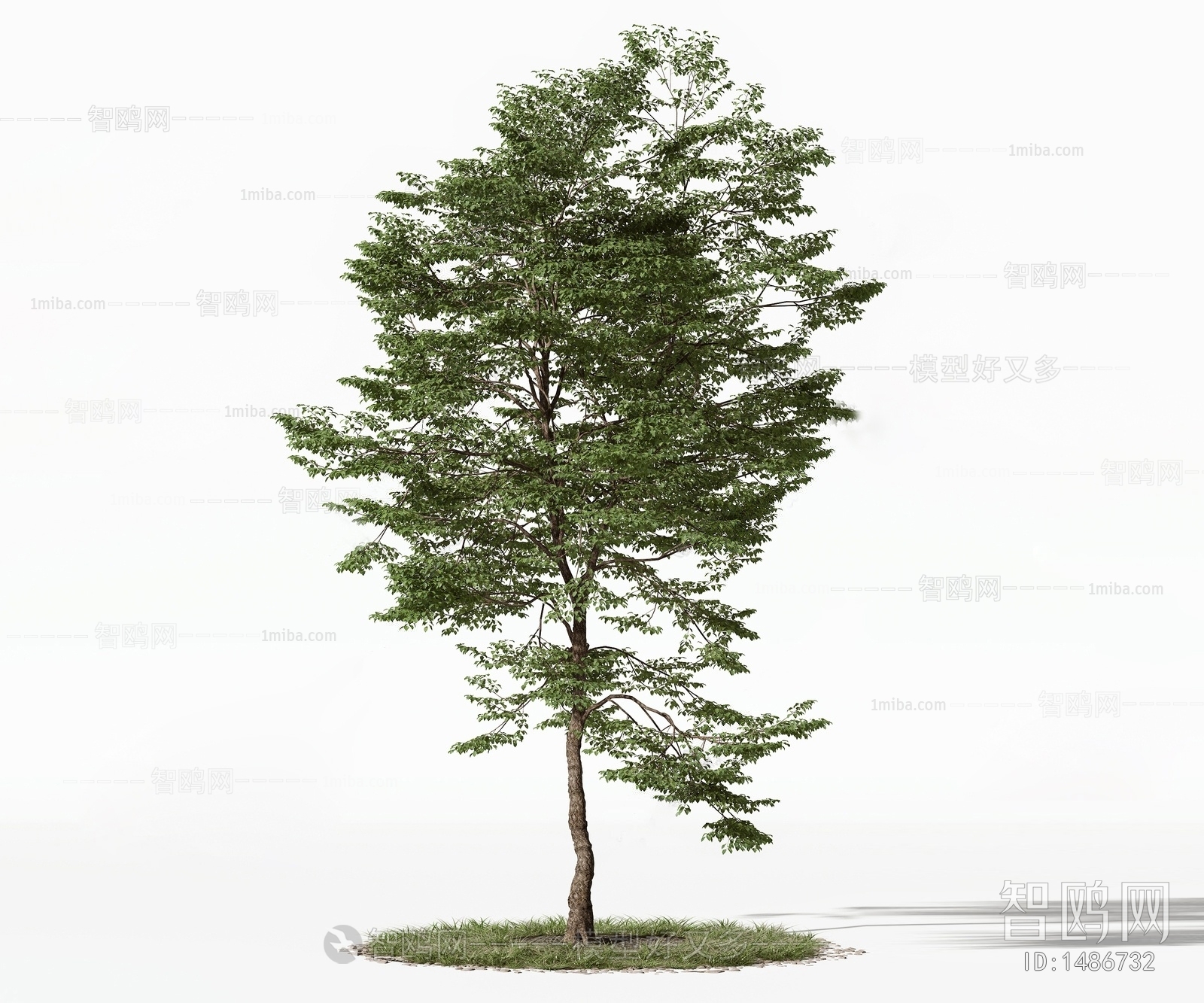 Modern Tree