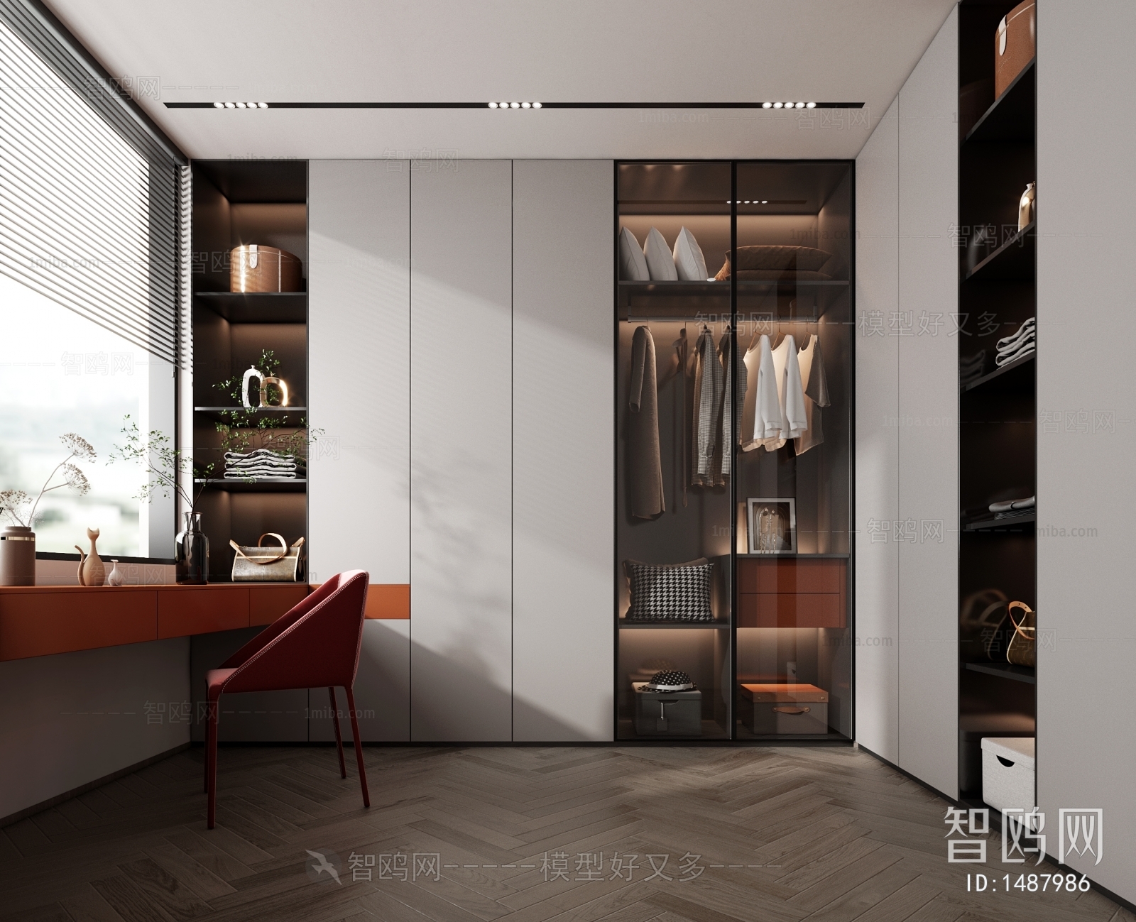 Modern Clothes Storage Area