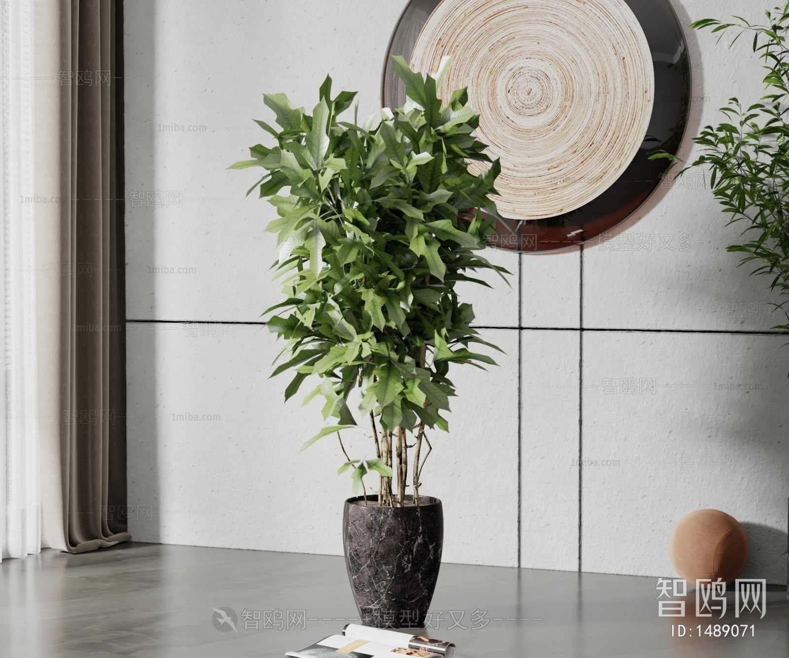 Modern Potted Green Plant