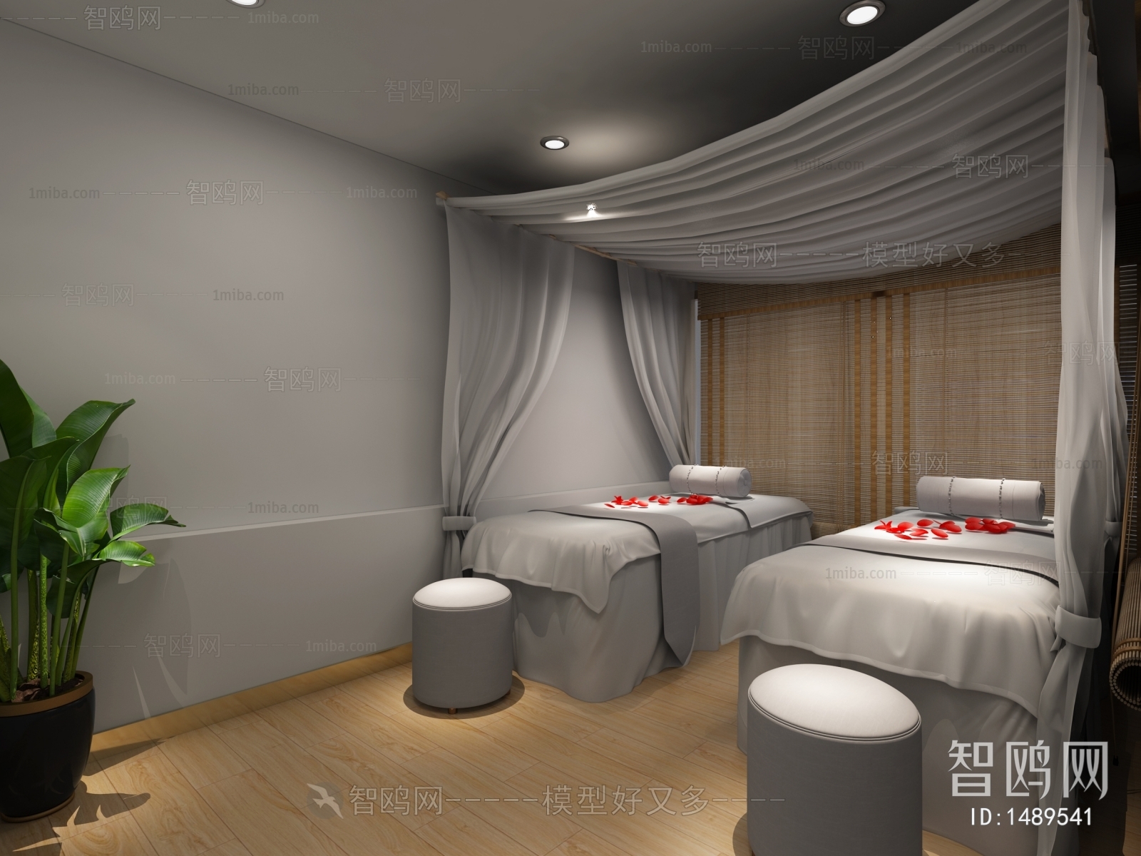 New Chinese Style SPA Beauty