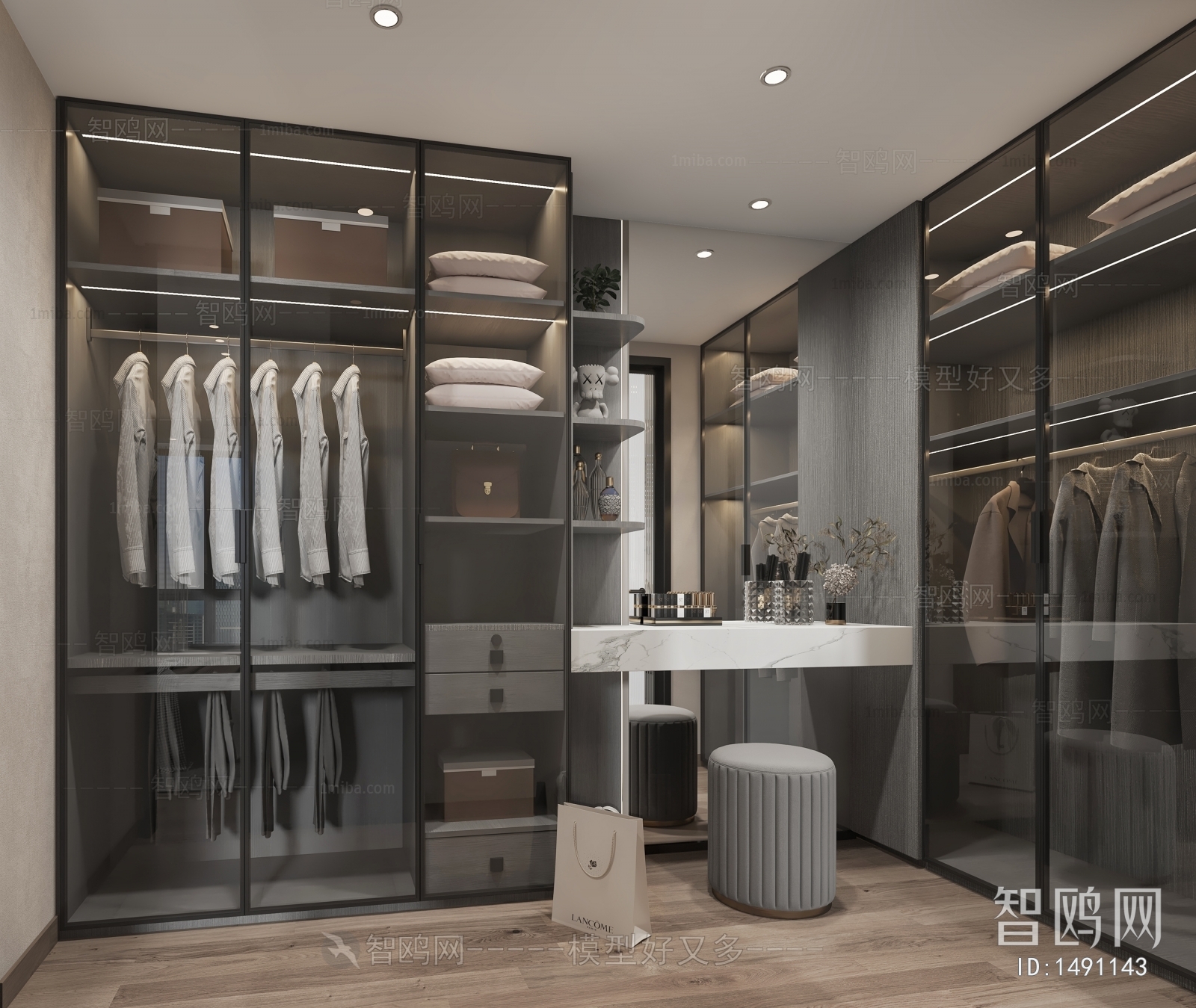 Modern Clothes Storage Area