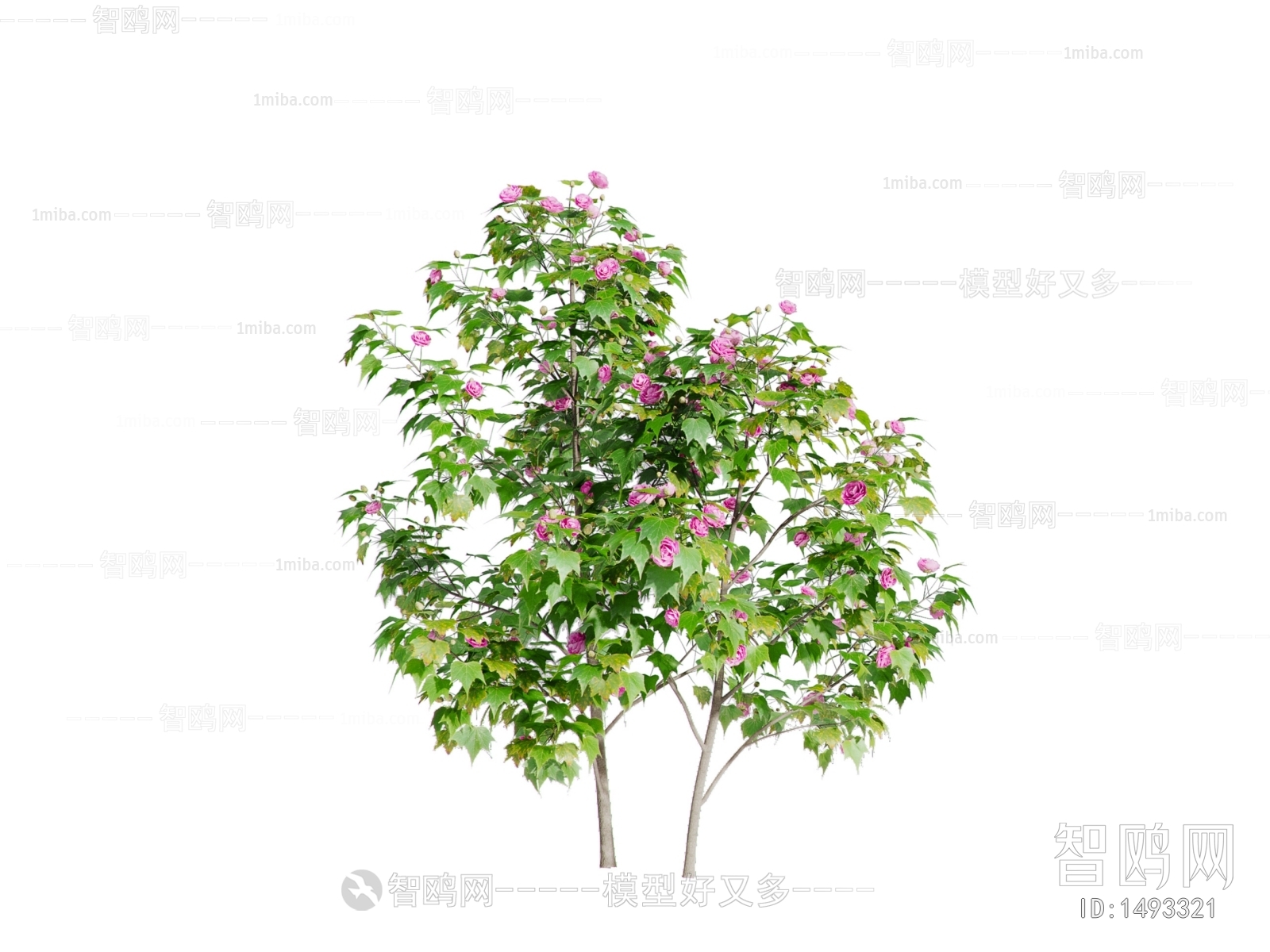 现代花树