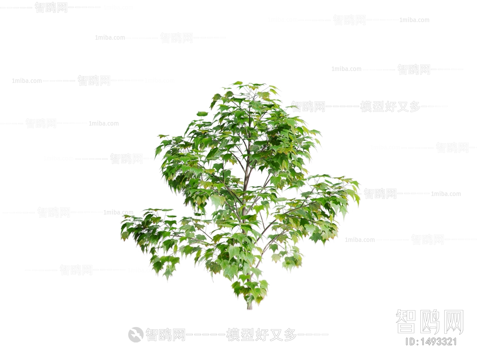 现代花树