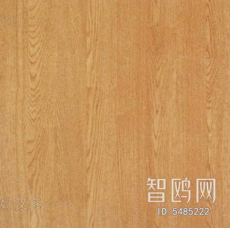 Wood Texture