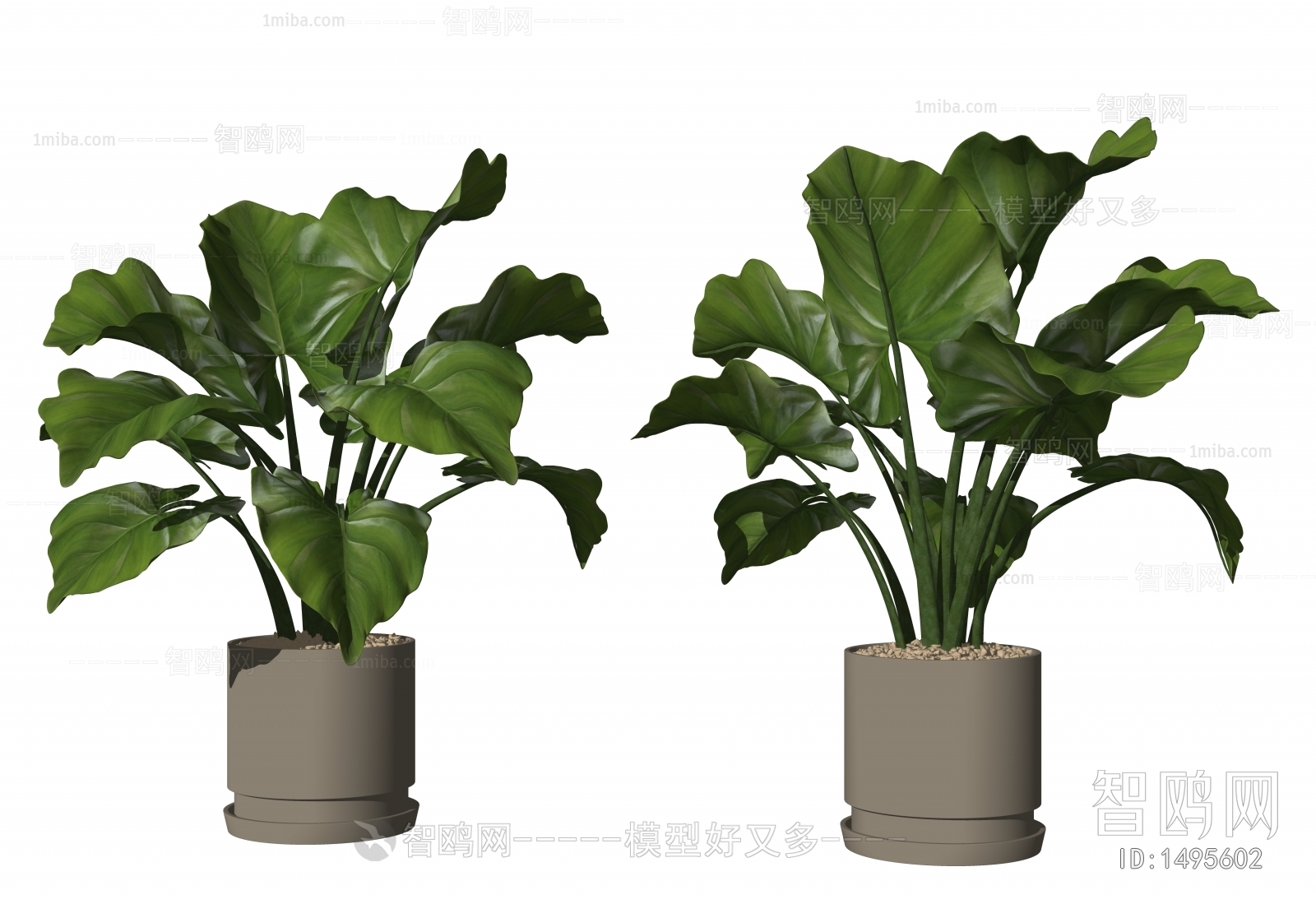 Modern Potted Green Plant