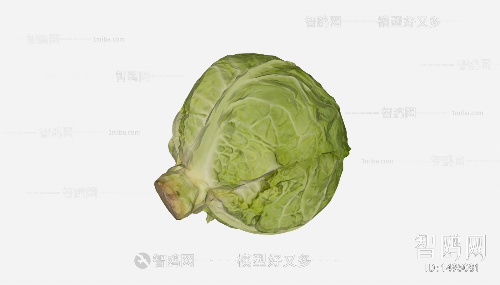 现代卷心白菜