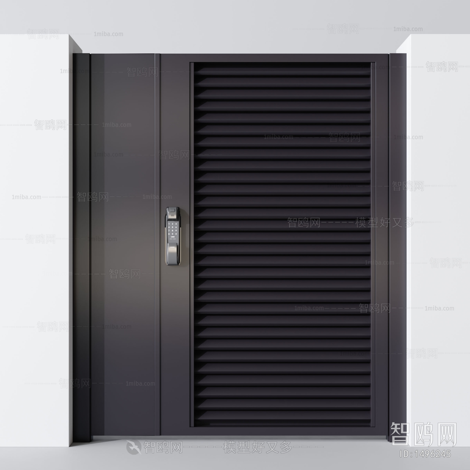 Modern Door