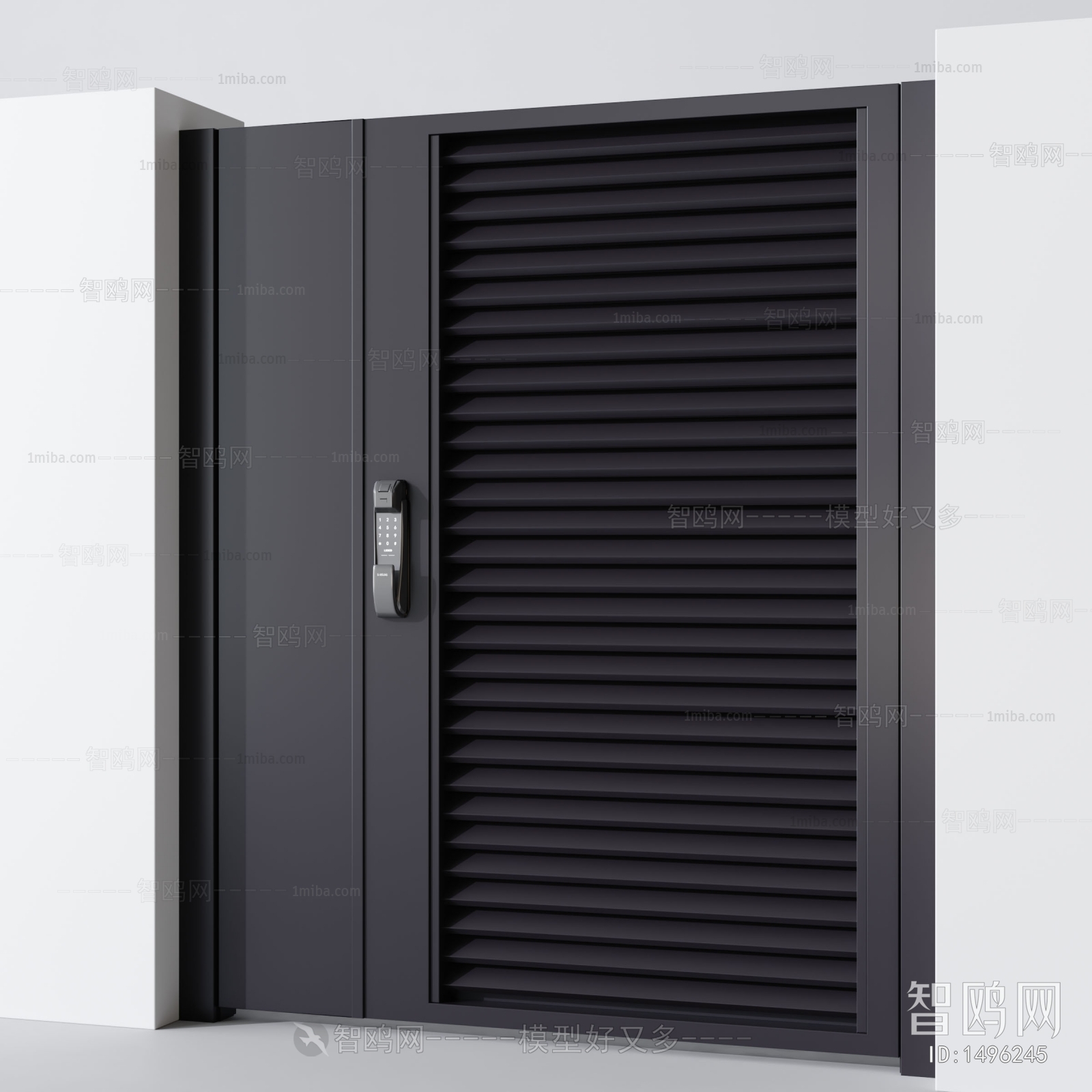 Modern Door