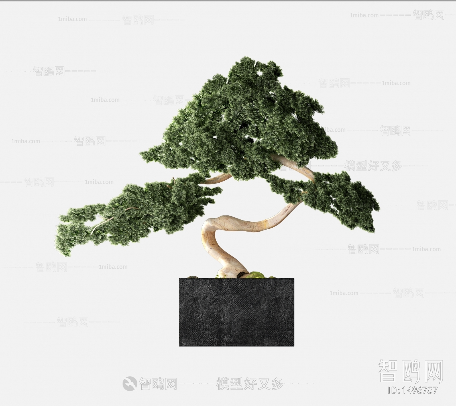 New Chinese Style Bonsai