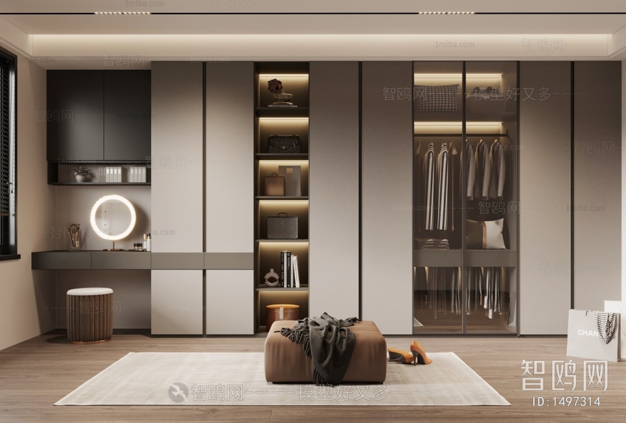 Modern Clothes Storage Area