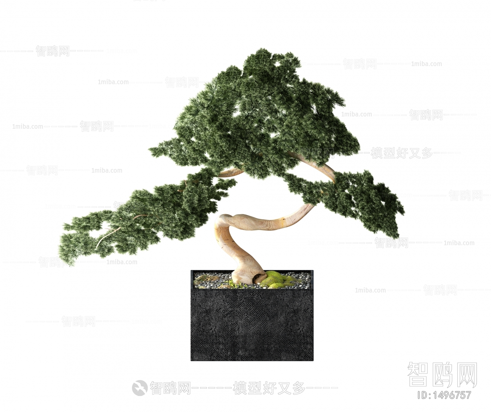 New Chinese Style Bonsai