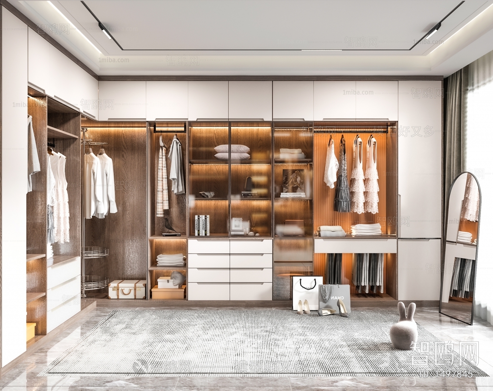 Modern Clothes Storage Area