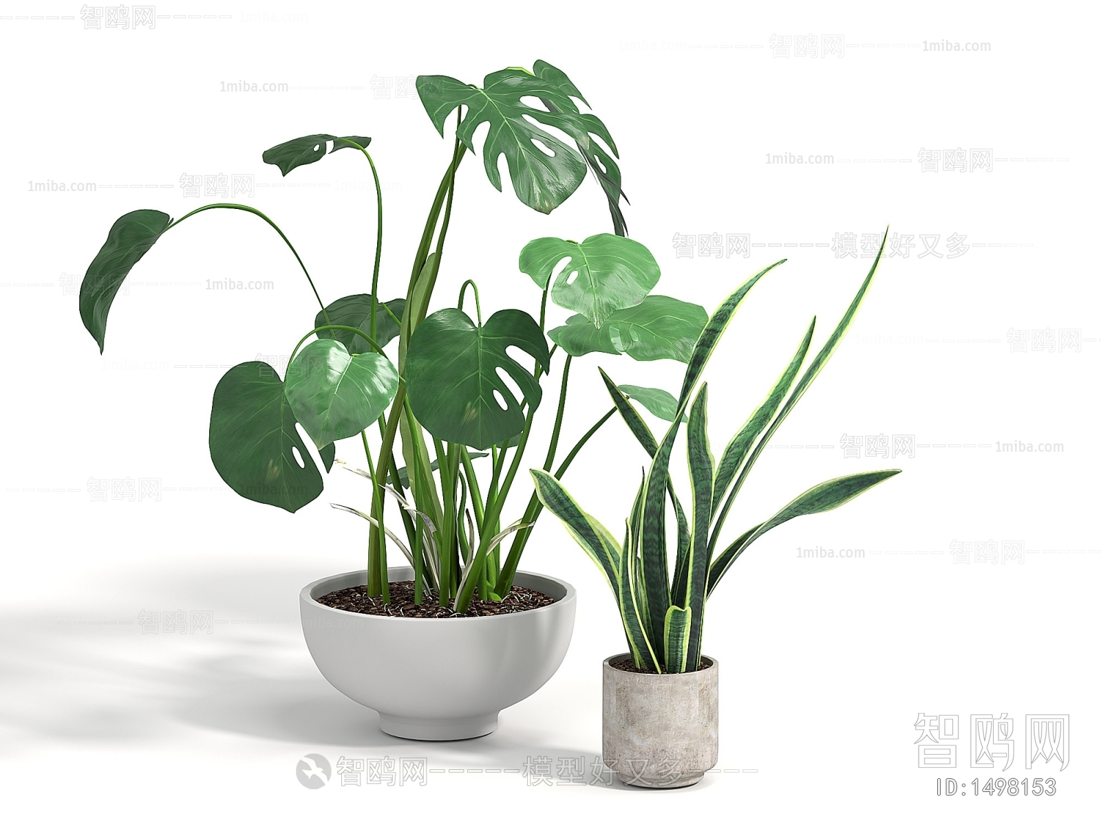 Modern Potted Green Plant