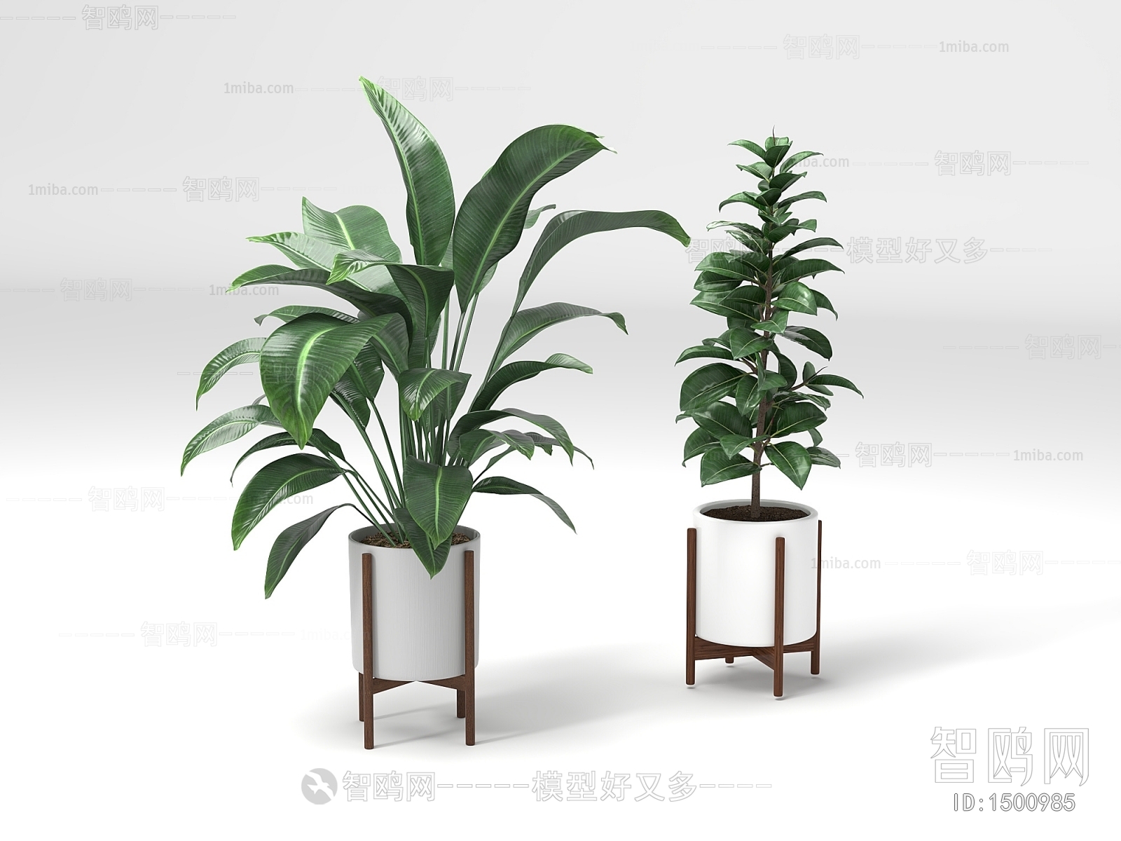 Modern Potted Green Plant