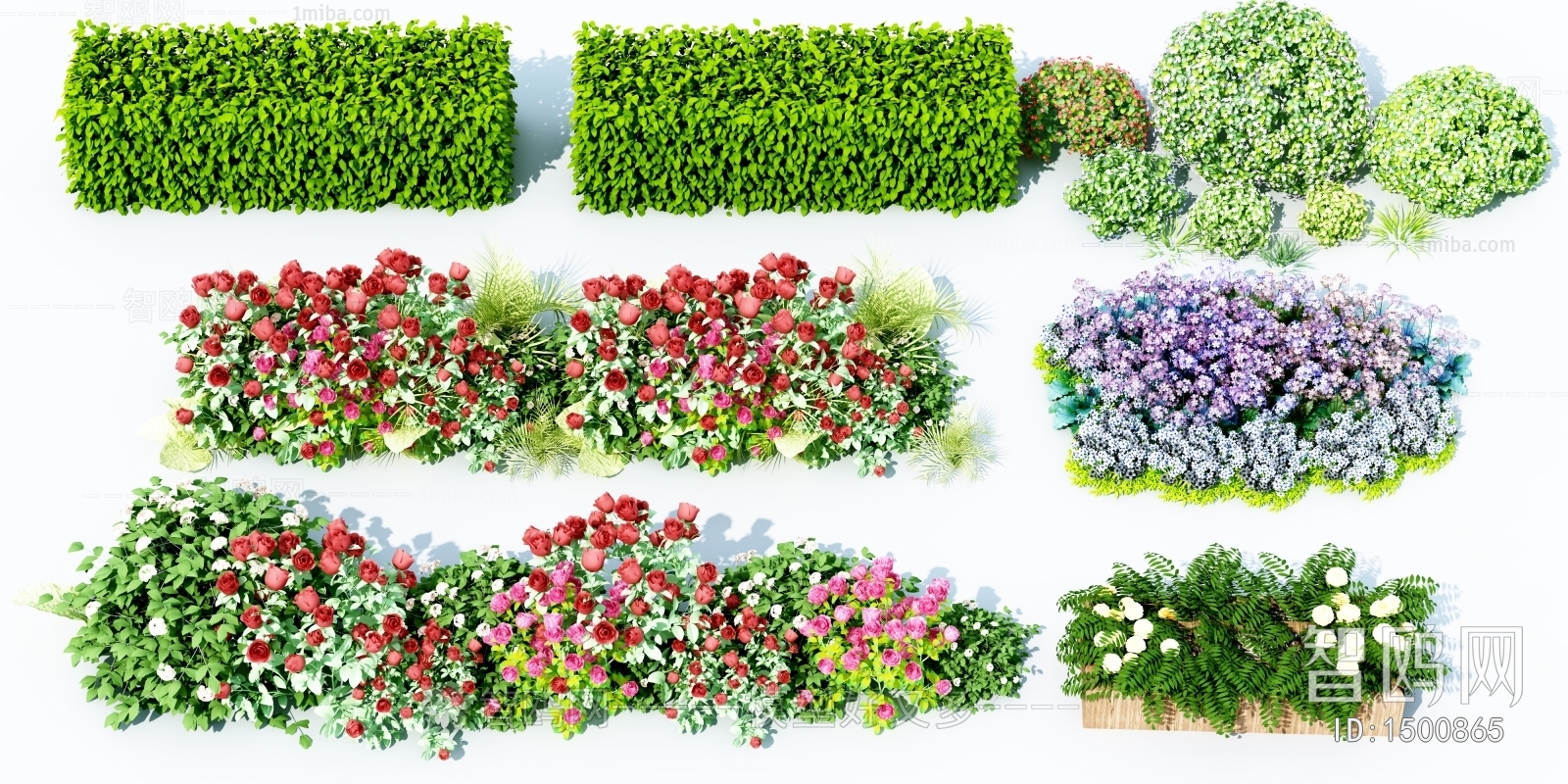 Modern Flowers And Grass