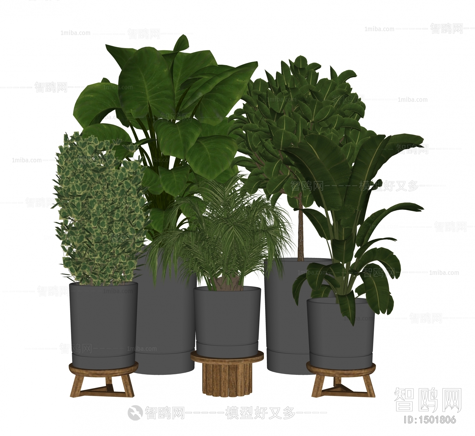 Modern Potted Green Plant