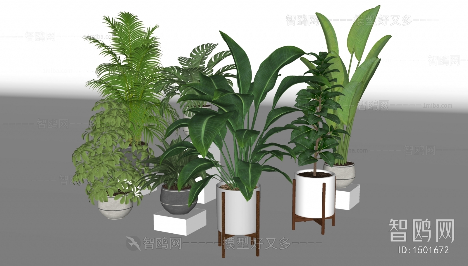 Modern Potted Green Plant