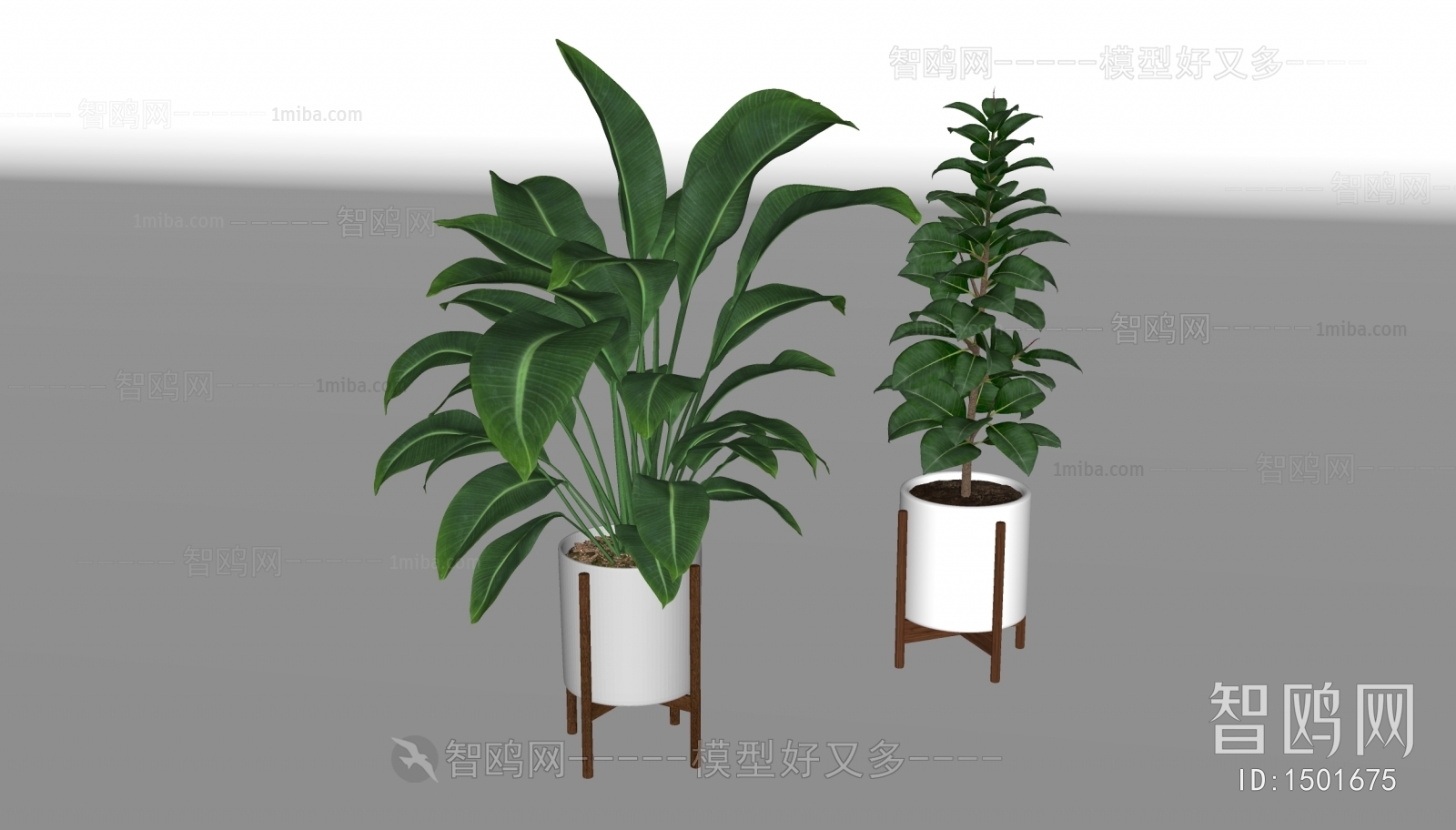 Modern Potted Green Plant