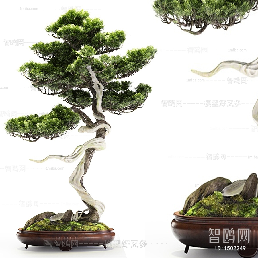 New Chinese Style Bonsai