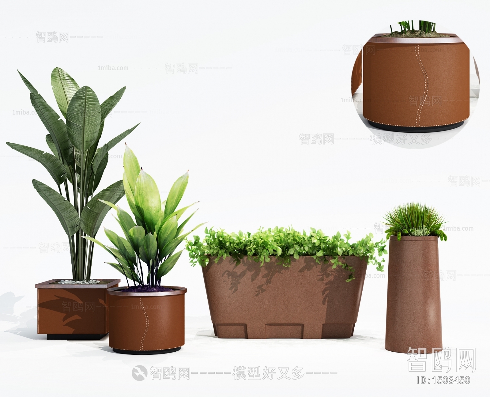 Modern Potted Green Plant