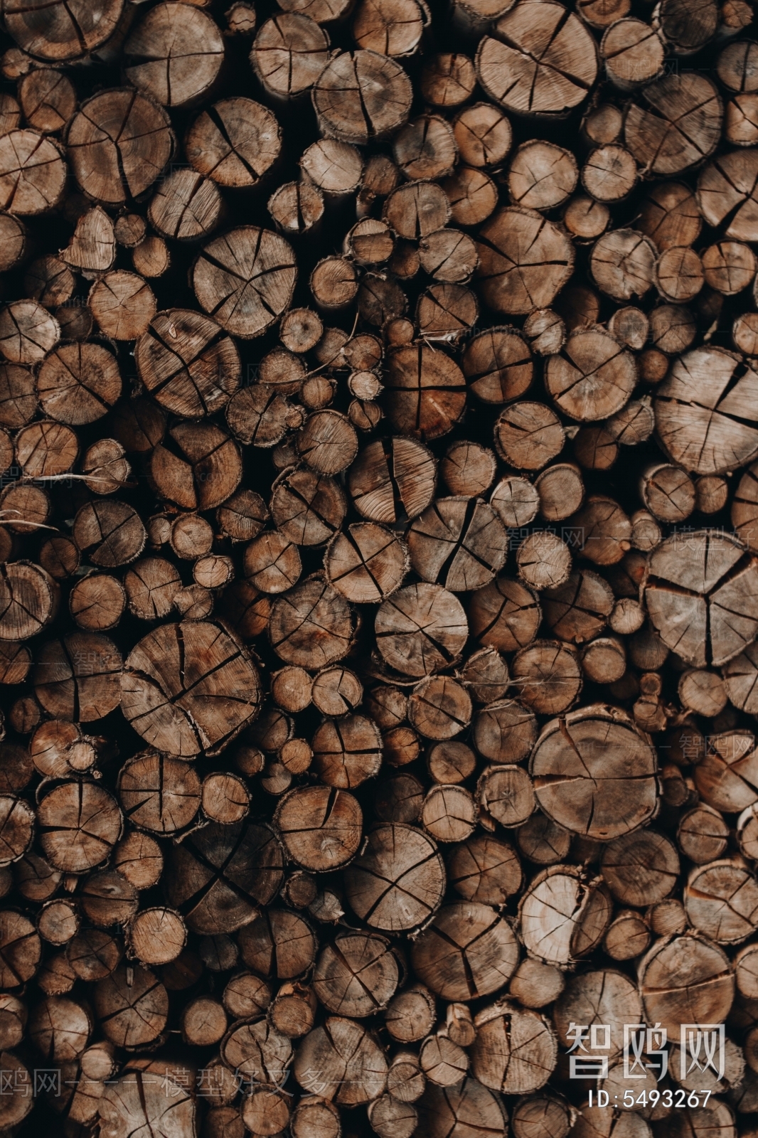 Other Wood Textures