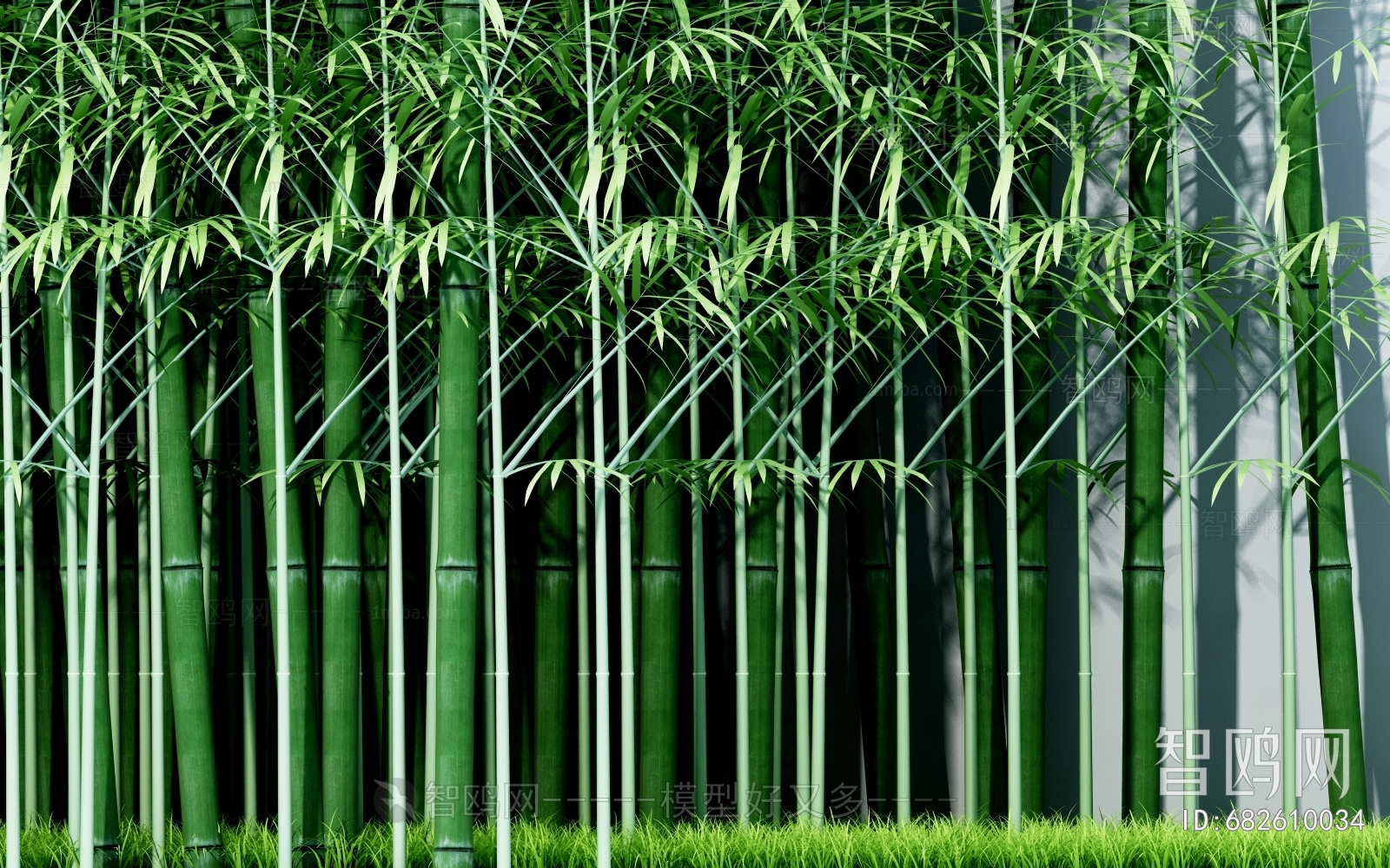 Modern Bamboo