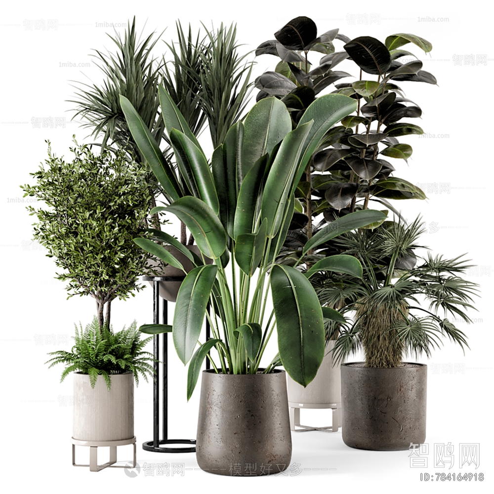 Modern Potted Green Plant