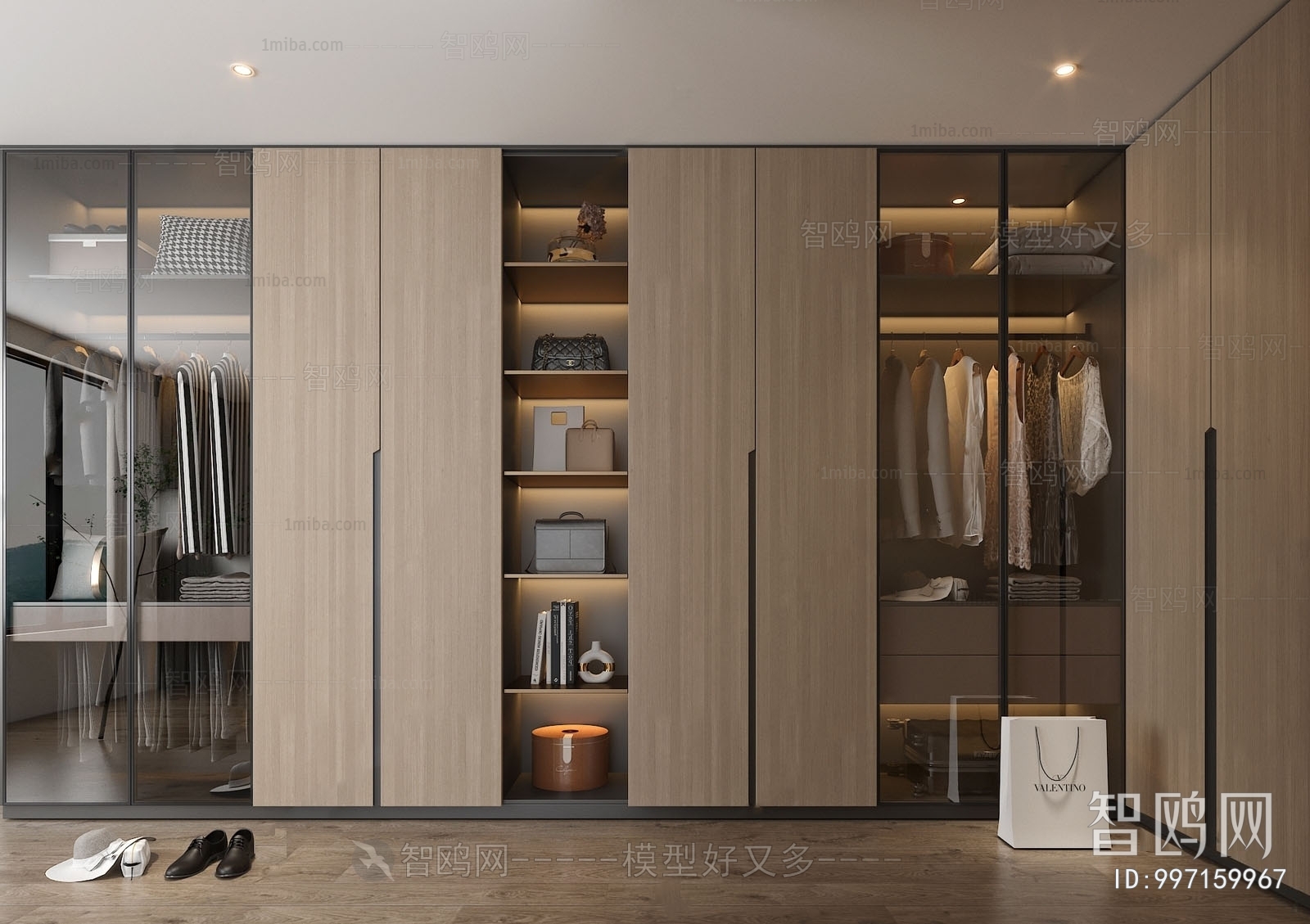 Modern Clothes Storage Area