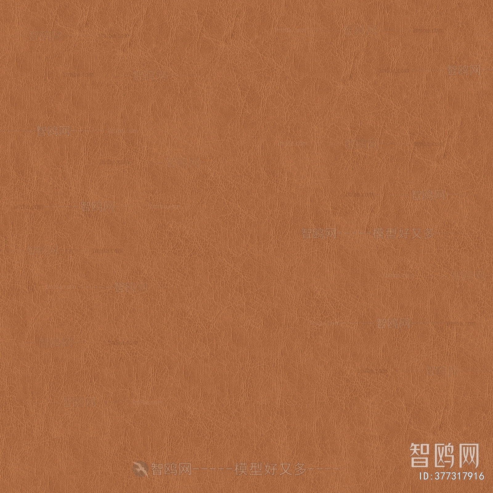 Rough Grain Leather