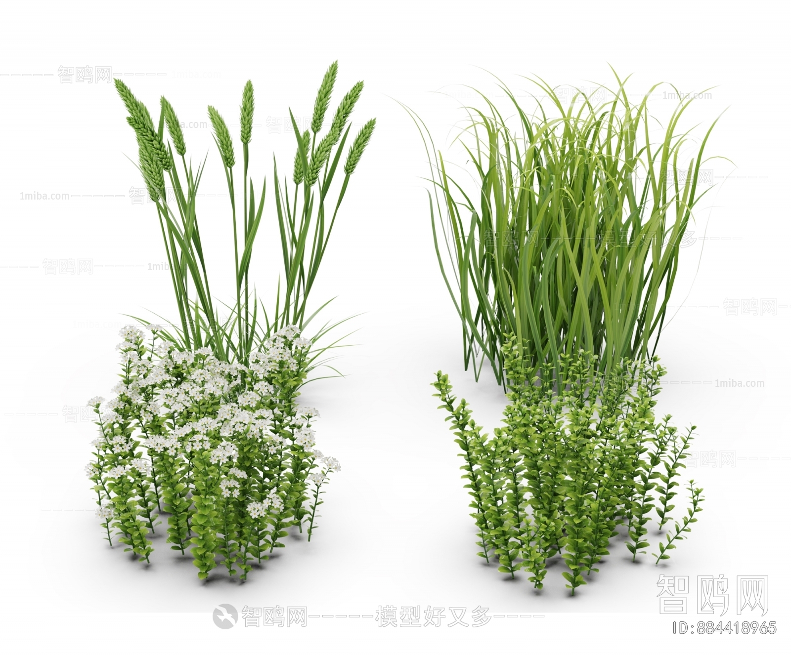 Modern Flowers And Grass