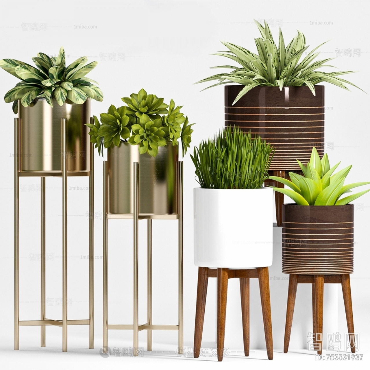 Modern Potted Green Plant